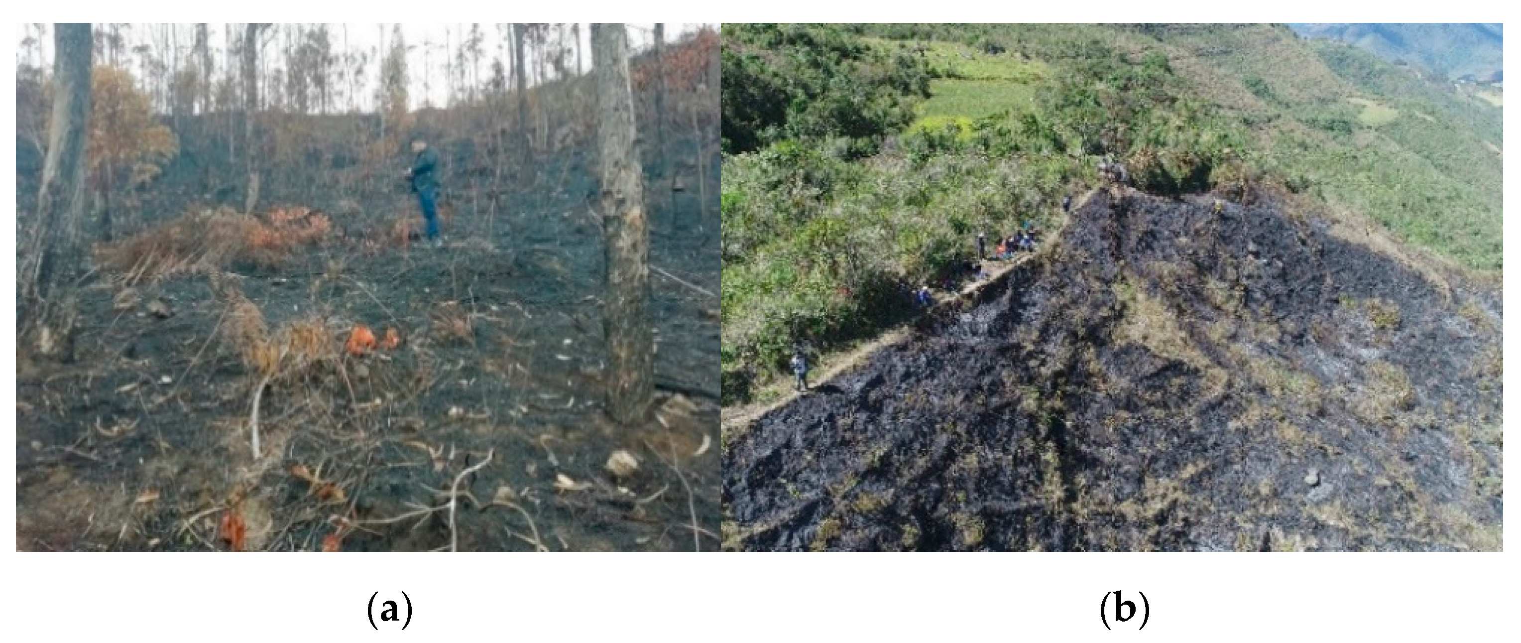 Ijgi 09 00564 g002 Ijgi 09 00564 g002