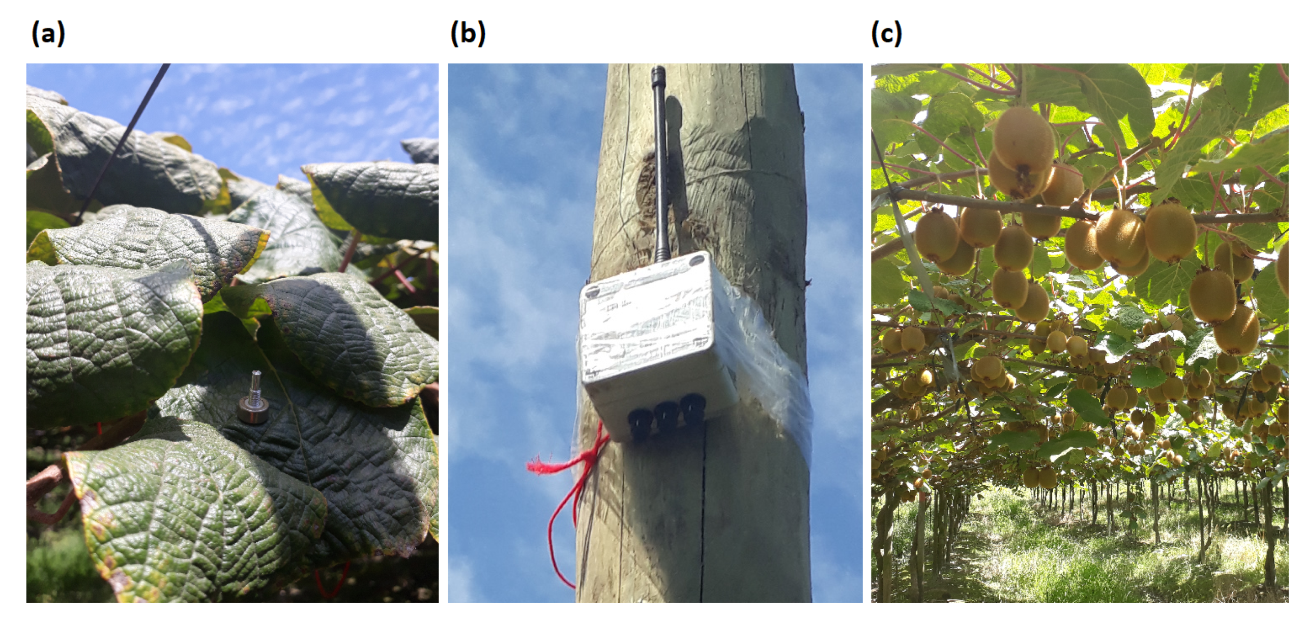 Ijgi 09 00641 g003 Ijgi 09 00641 g003