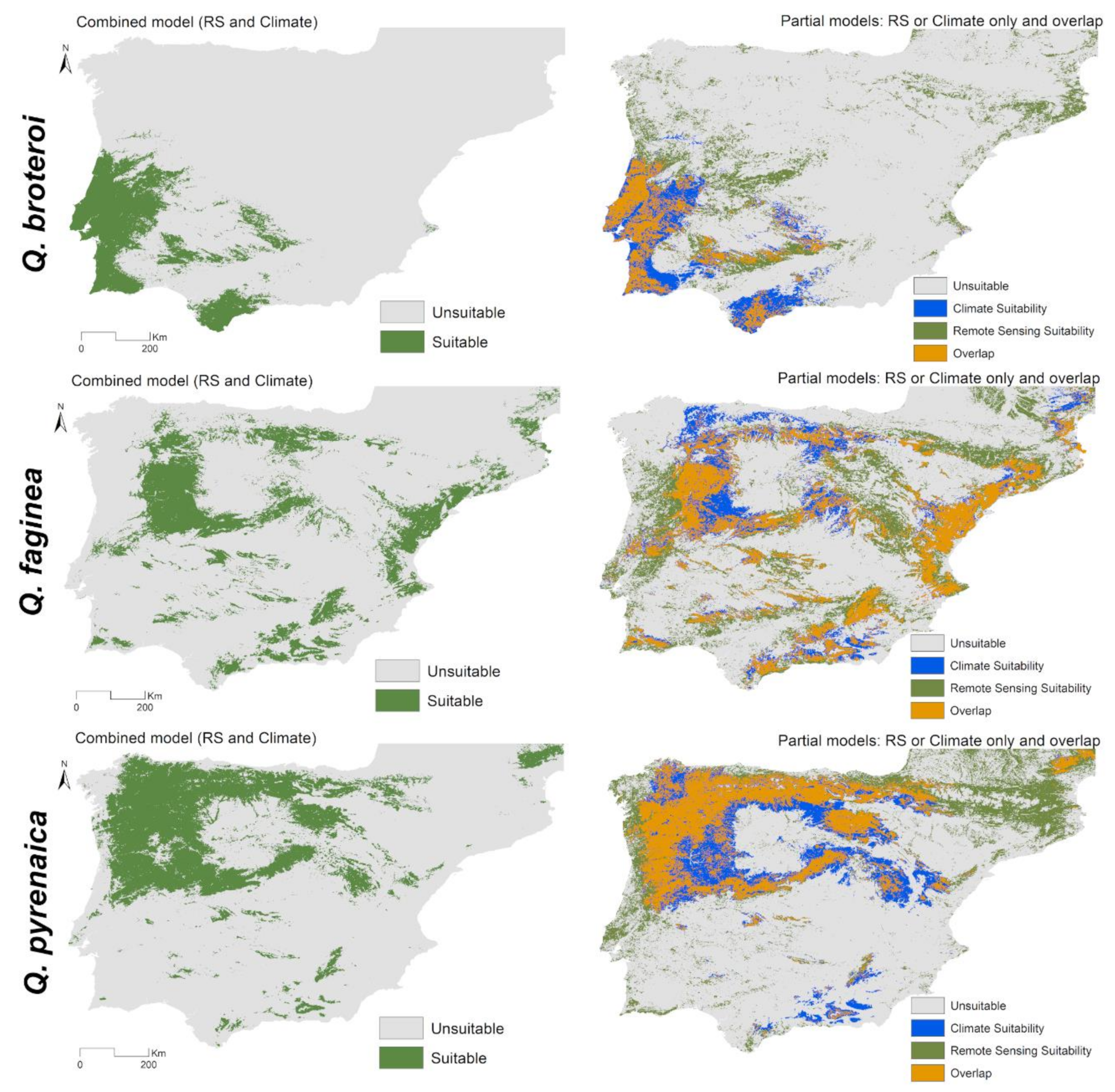 Ijgi 09 00735 g0a3 Ijgi 09 00735 g0a3
