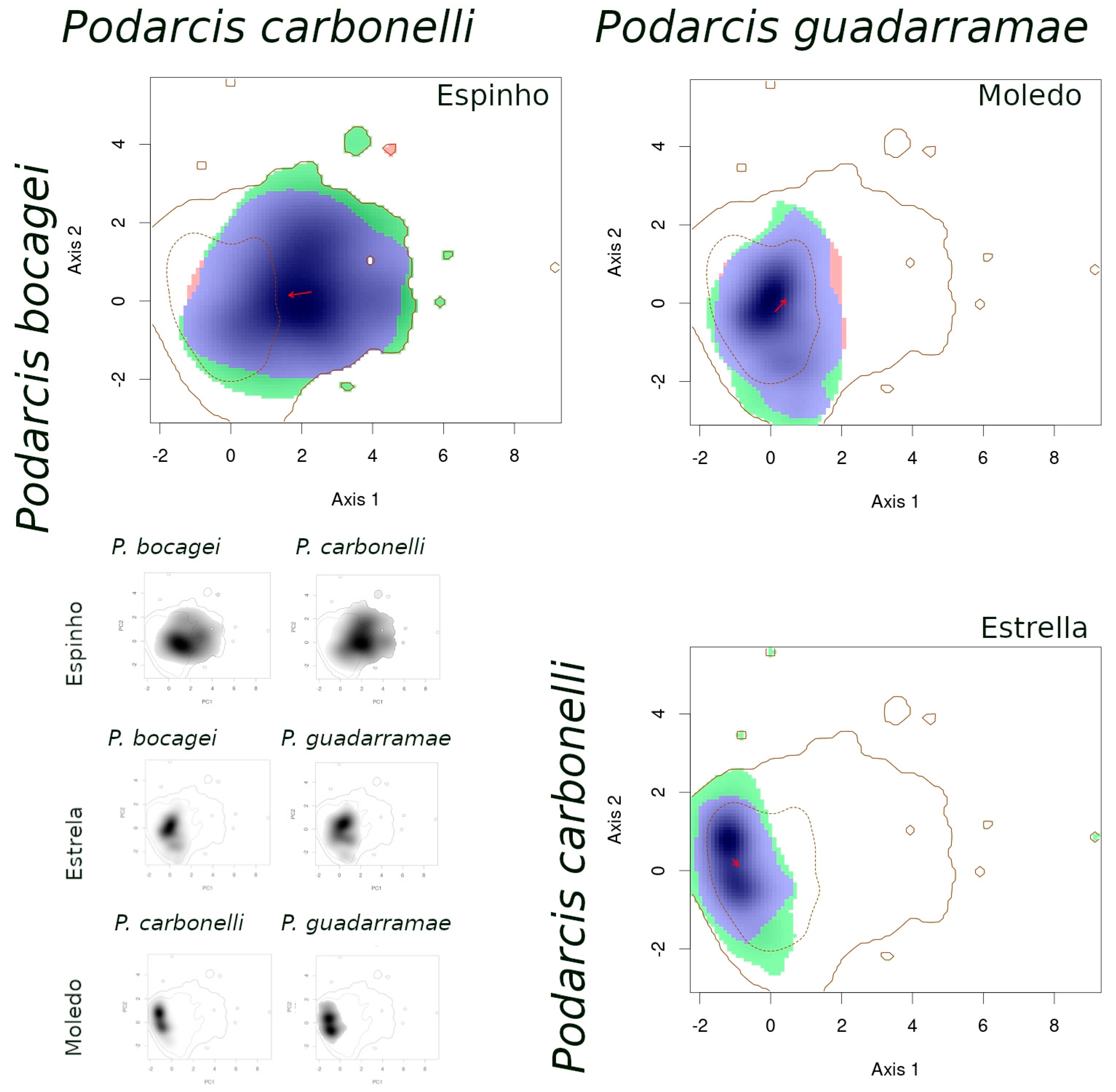 Ijgi 09 00764 g002 Ijgi 09 00764 g002
