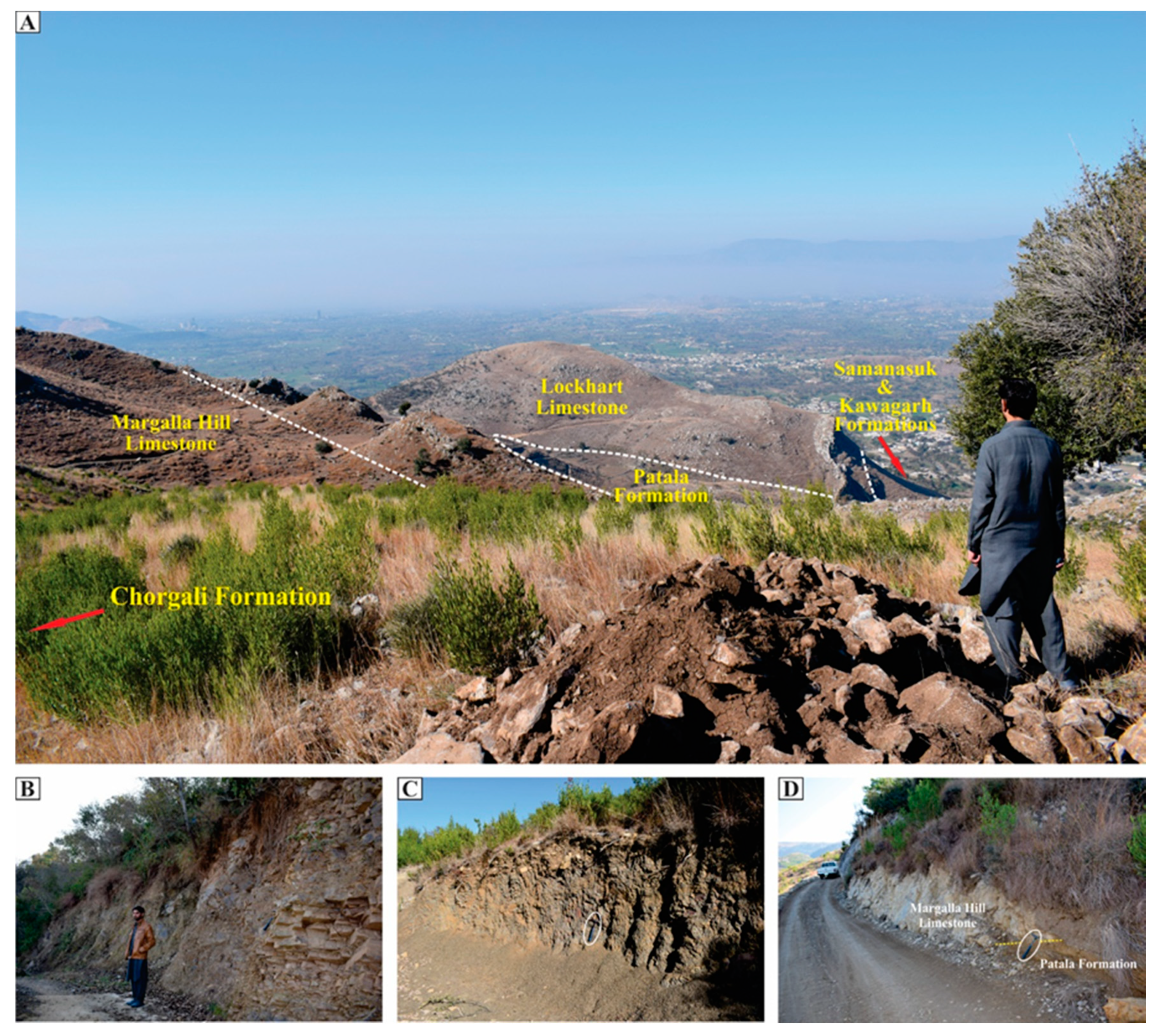 Ijgi 10 00058 g008 Ijgi 10 00058 g008