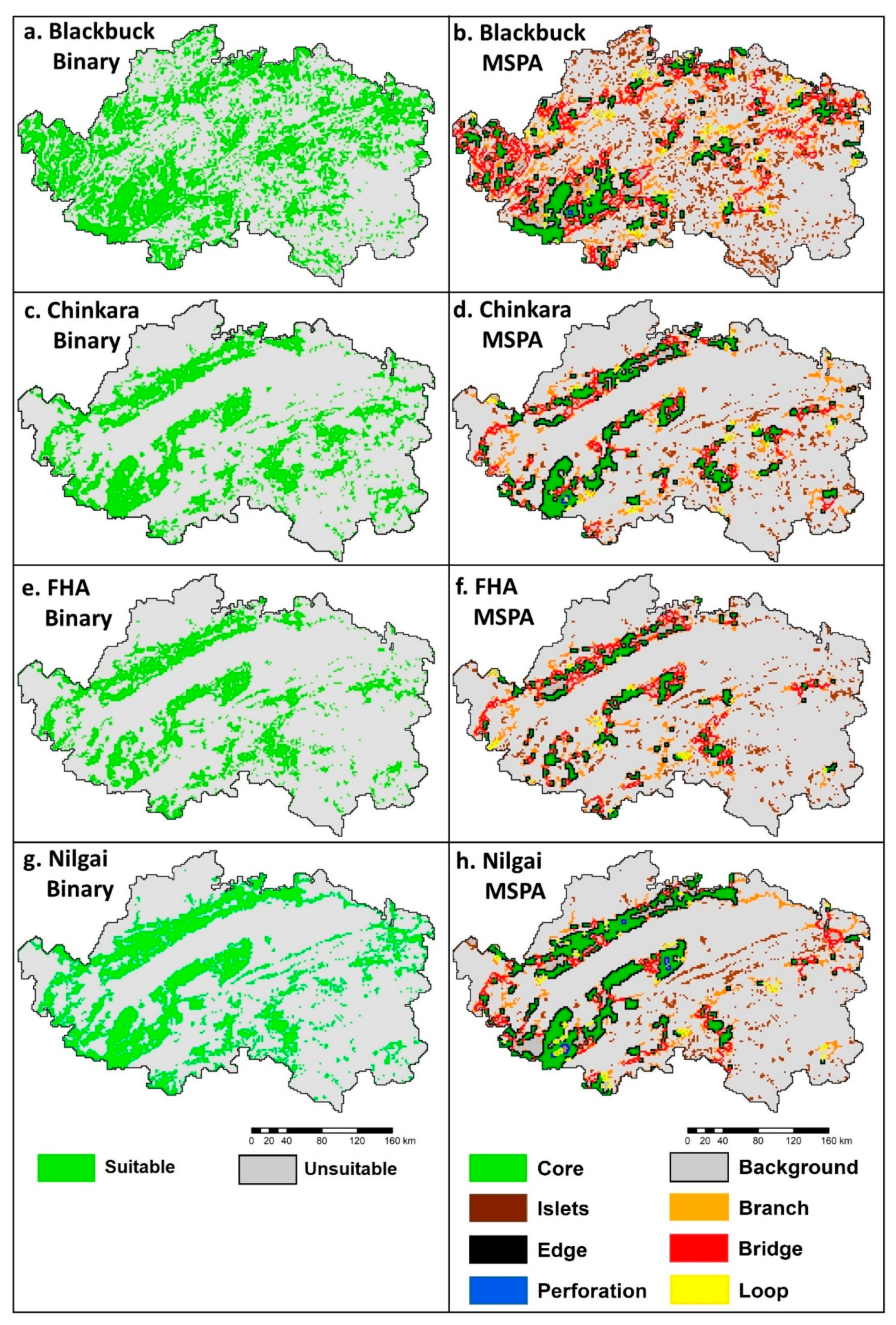 Ijgi 10 00180 g006 Ijgi 10 00180 g006