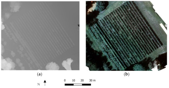 Ijgi 10 00236 g007 550