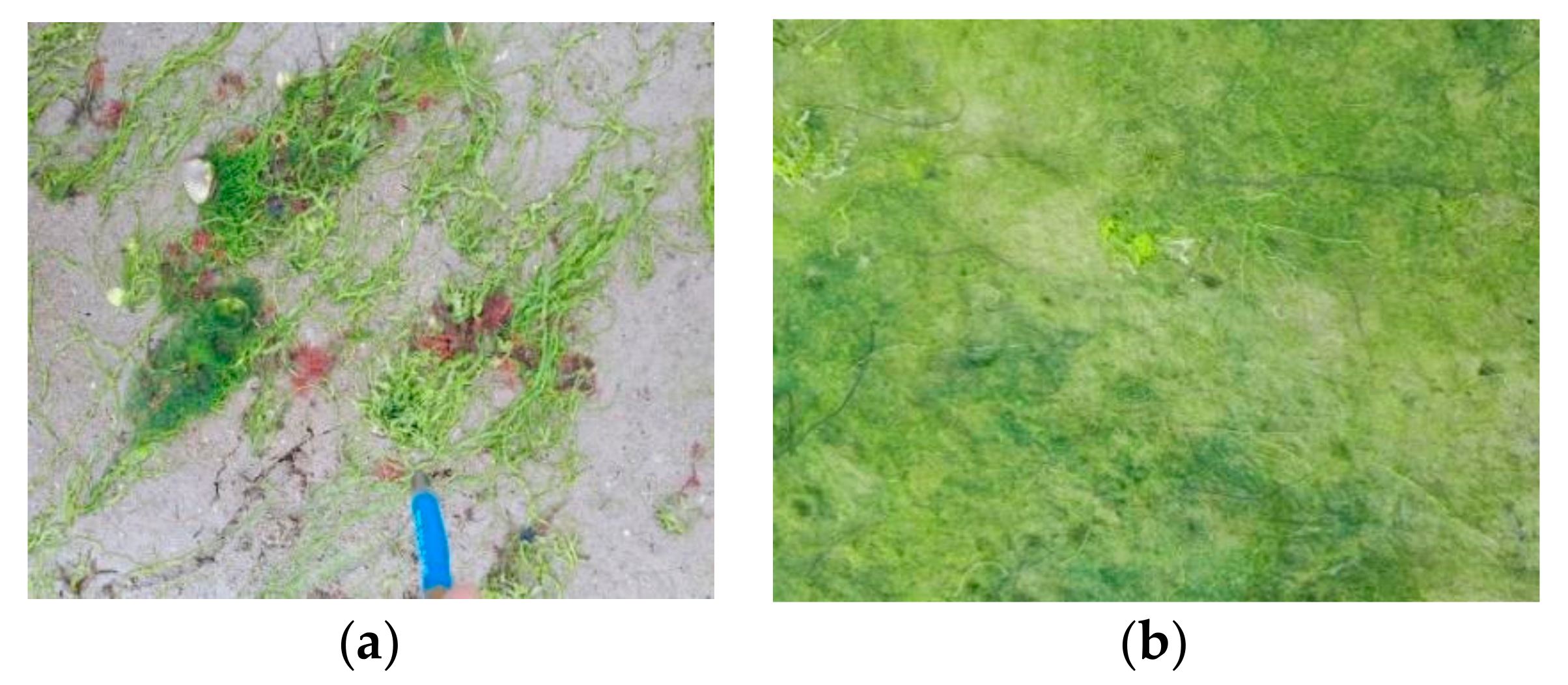 Ijgi 10 00313 g009 Ijgi 10 00313 g009