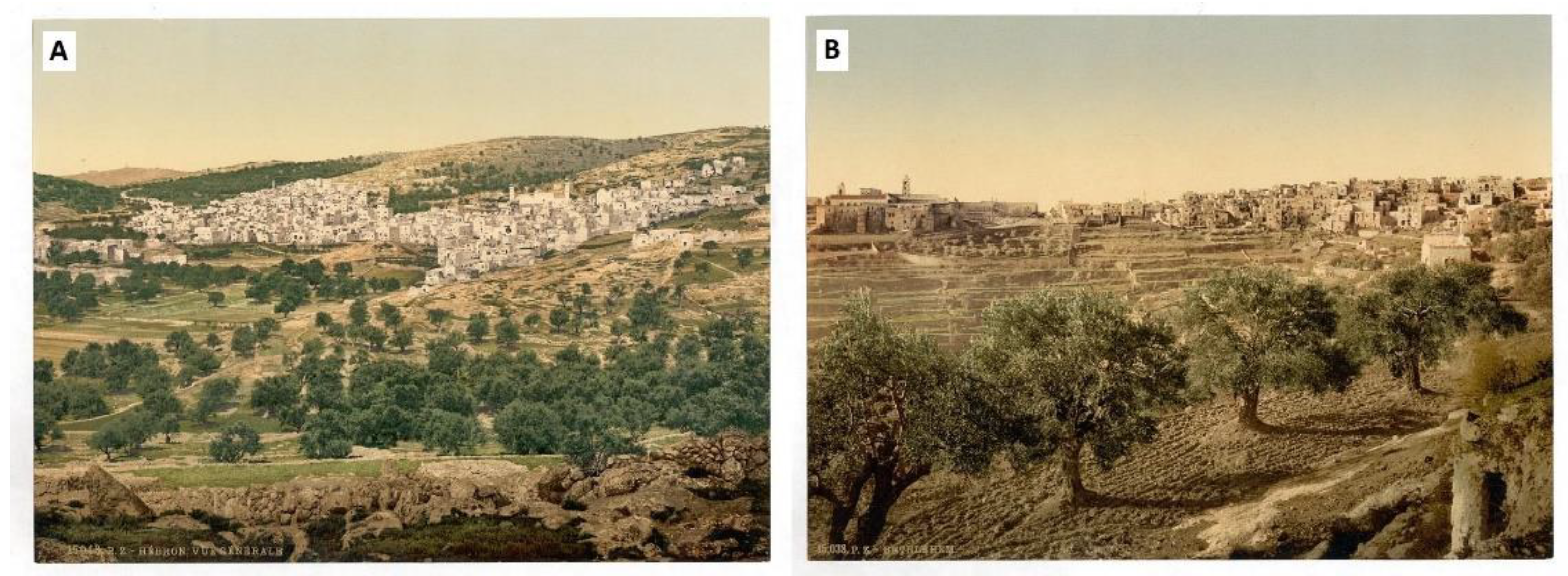 Ijgi 10 00319 g004 Ijgi 10 00319 g004