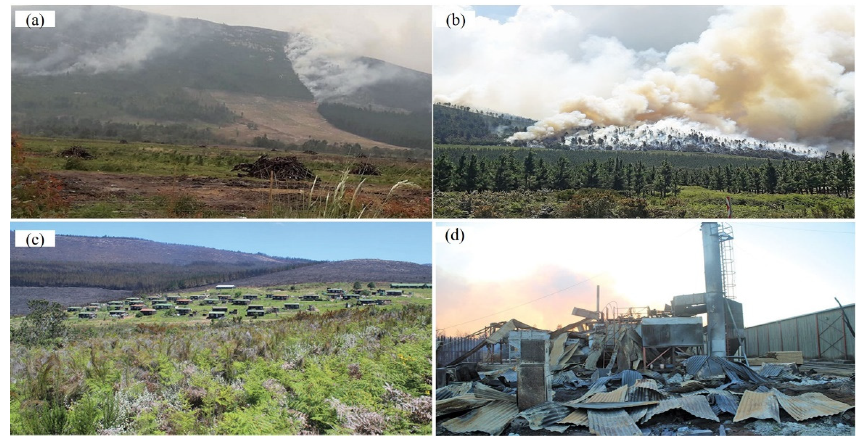 Ijgi 10 00511 g006 550