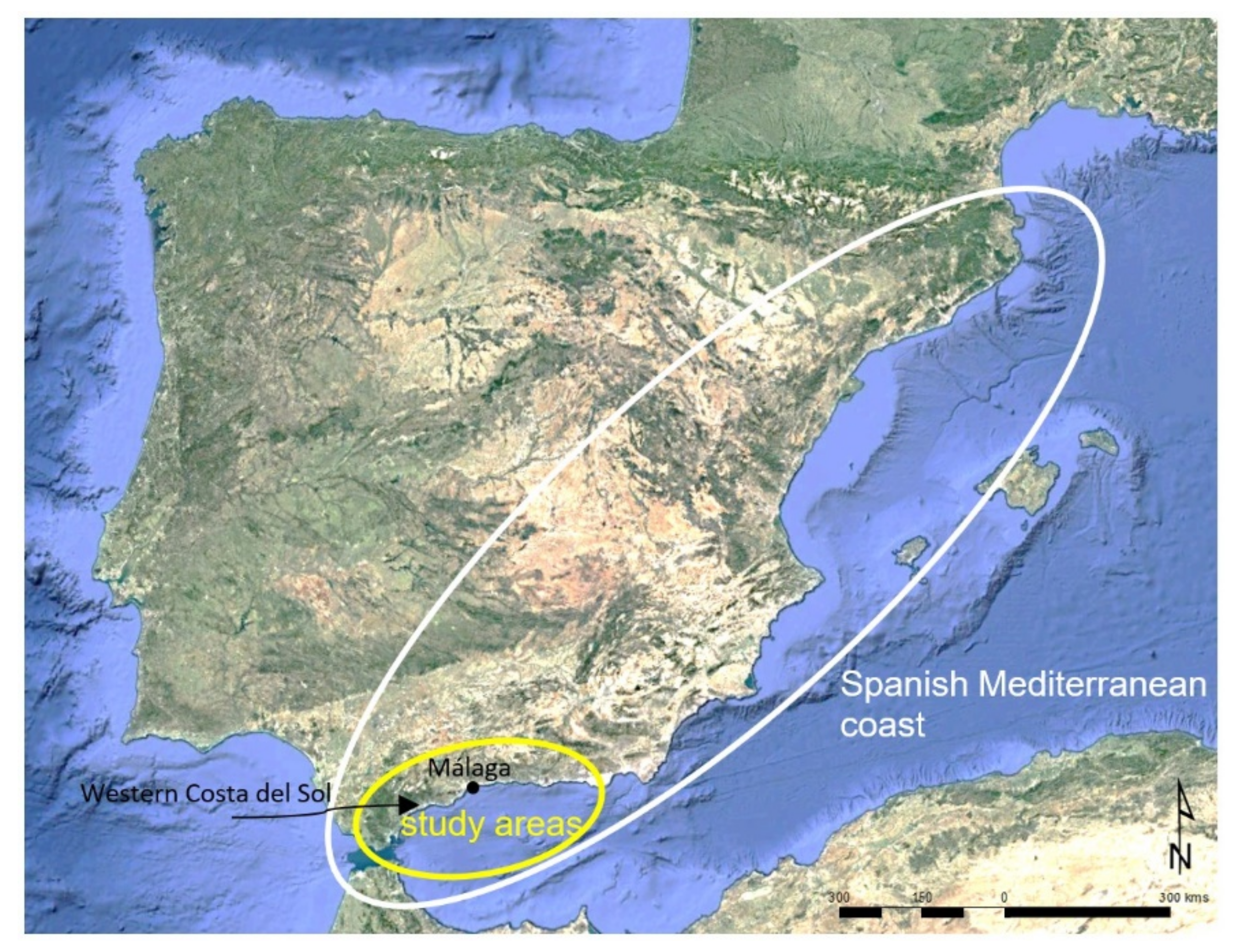 Ijgi 10 00759 g001 550