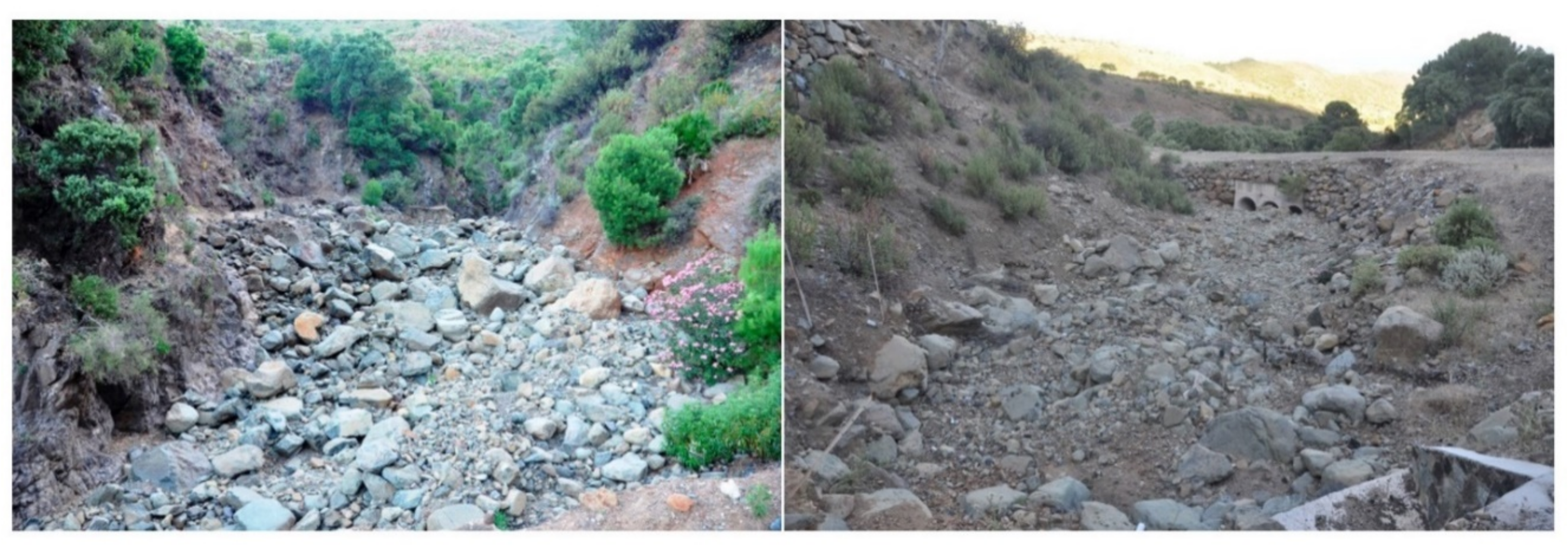 Ijgi 10 00759 g004 550