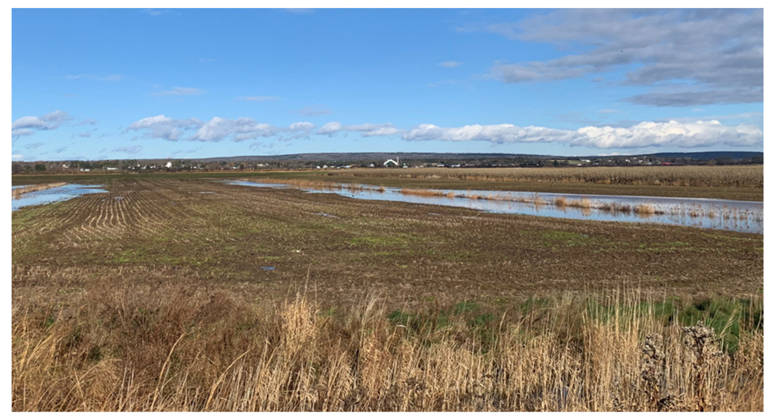 Ijgi 10 00801 g004 550