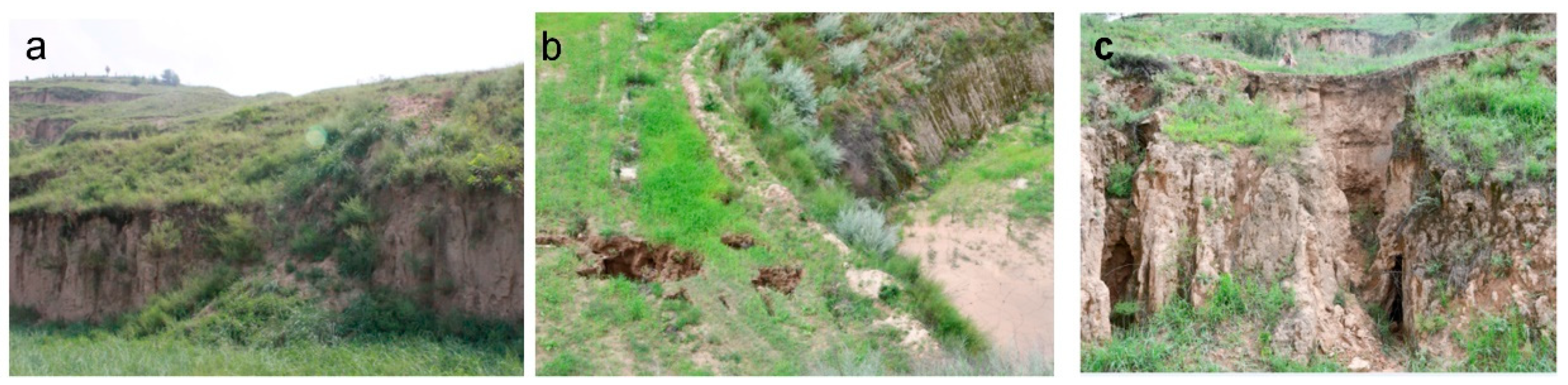 Ijgi 10 00805 g001 550