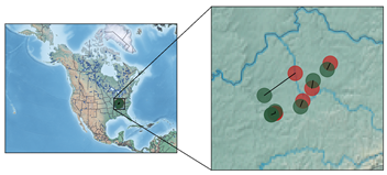 Ijgi 11 00028 i003 Ijgi 11 00028 i003