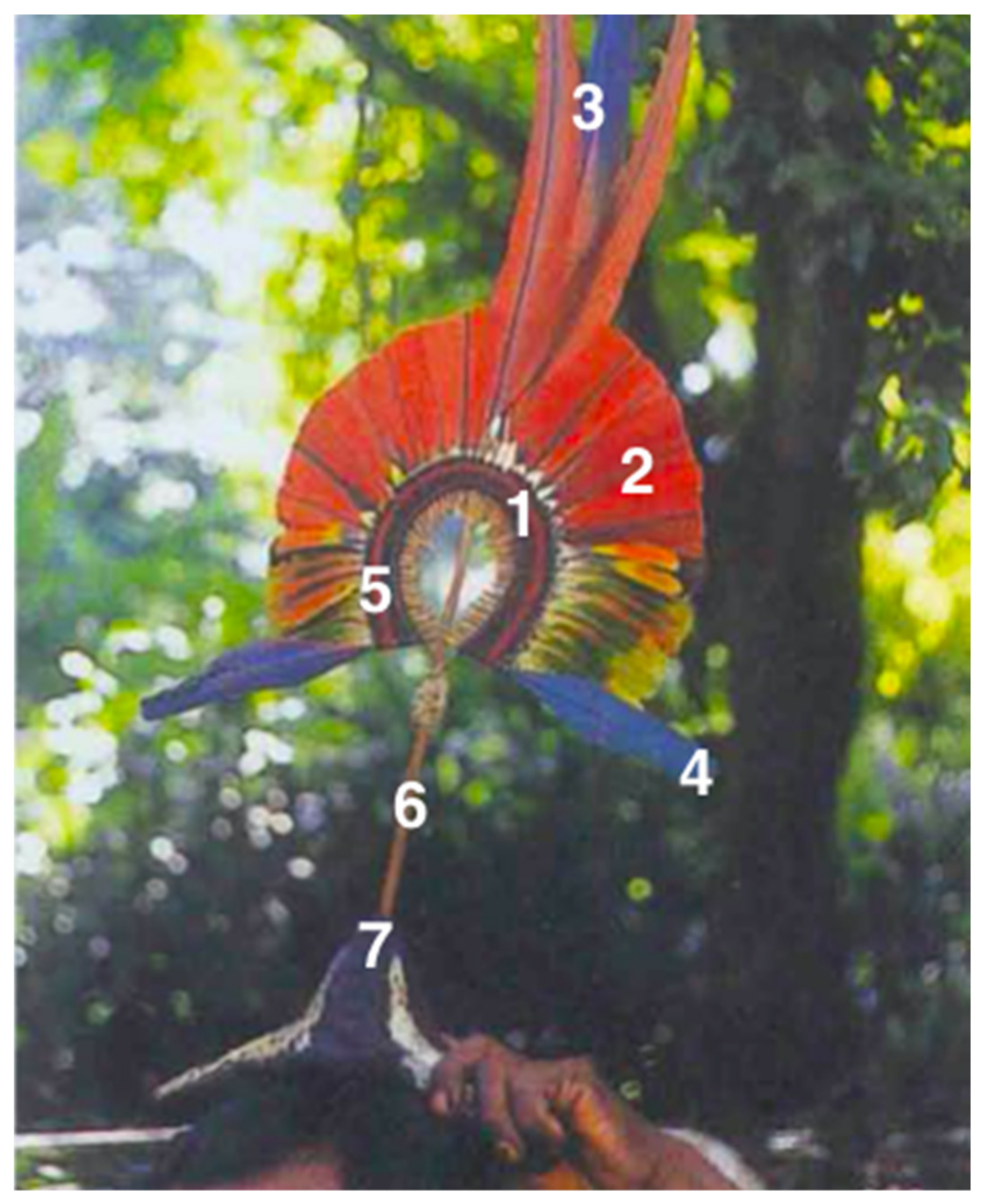 Ijgi 11 00161 g005 550