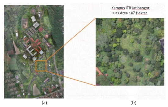 3D Modeling of Individual Trees from LiDAR and Photogrammetric 