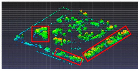 マルベリー The Use of Machine Learning Algorithms in Urban Tree Species