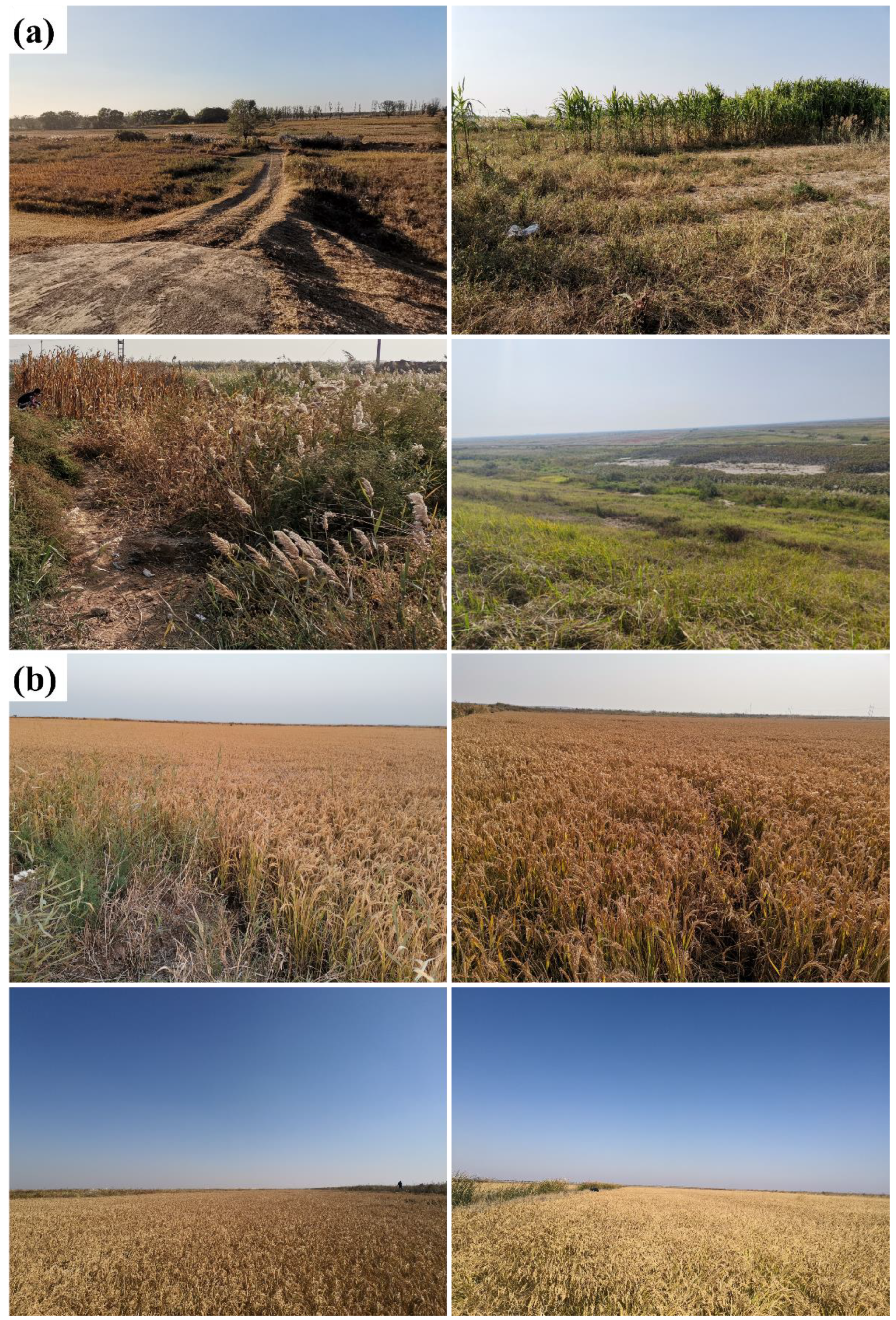 Ijgi 11 00604 g010 Ijgi 11 00604 g010