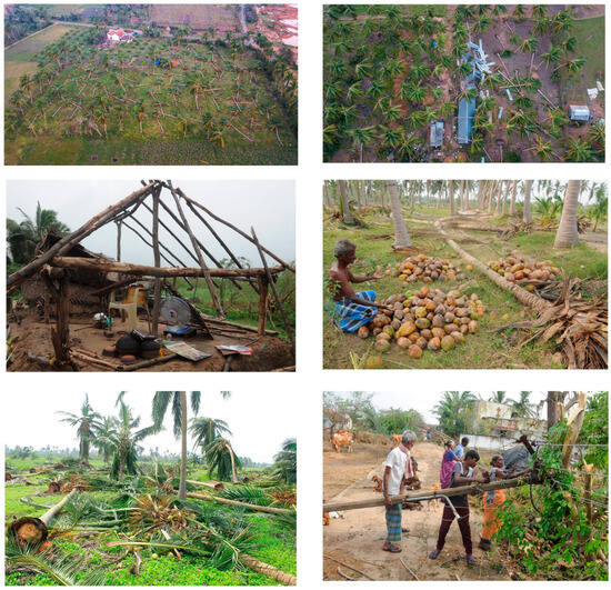 Multi-Criterion Analysis of Cyclone Risk along the Coast of Tamil Nadu ...