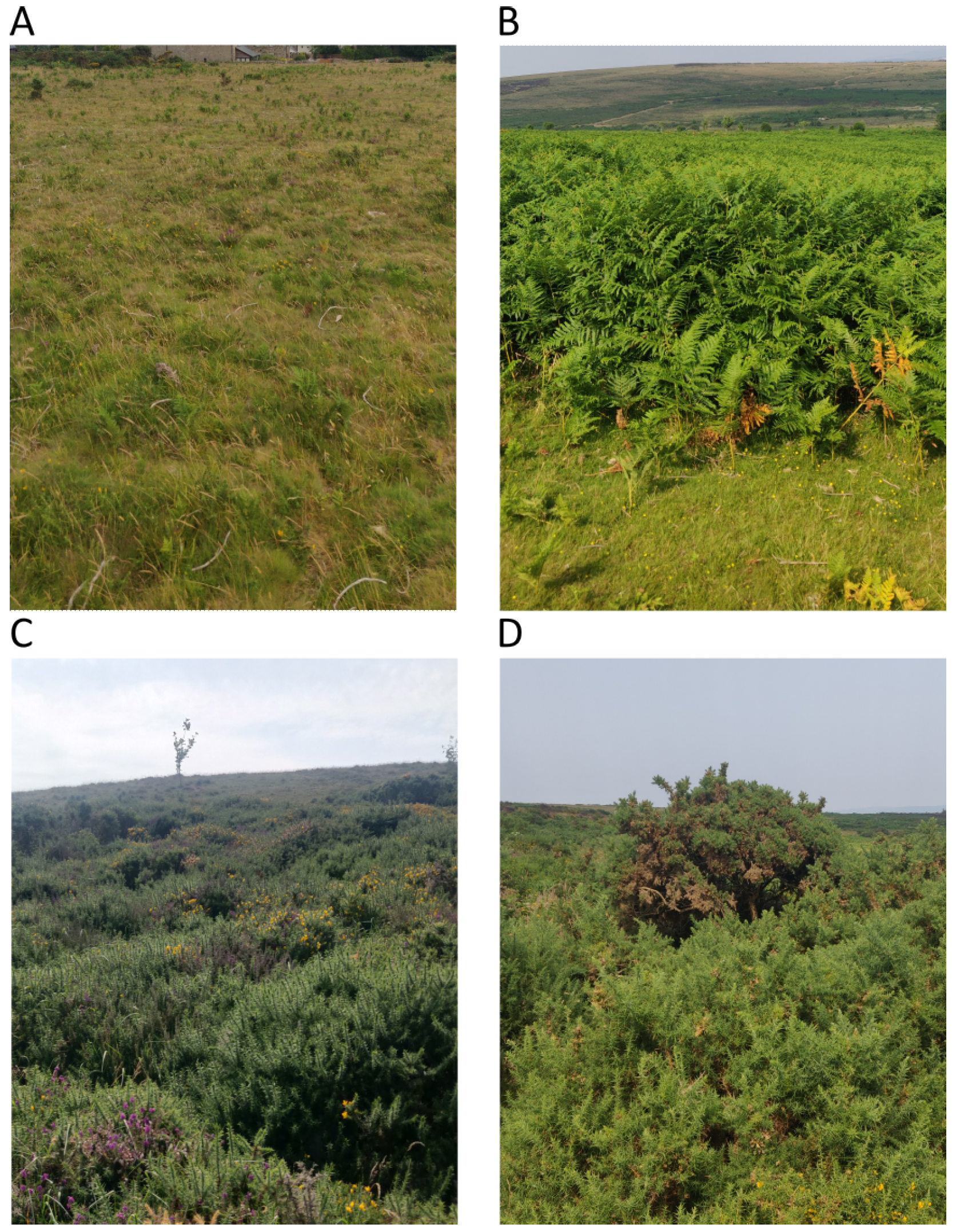 Ijgi 13 00130 g007 Ijgi 13 00130 g007