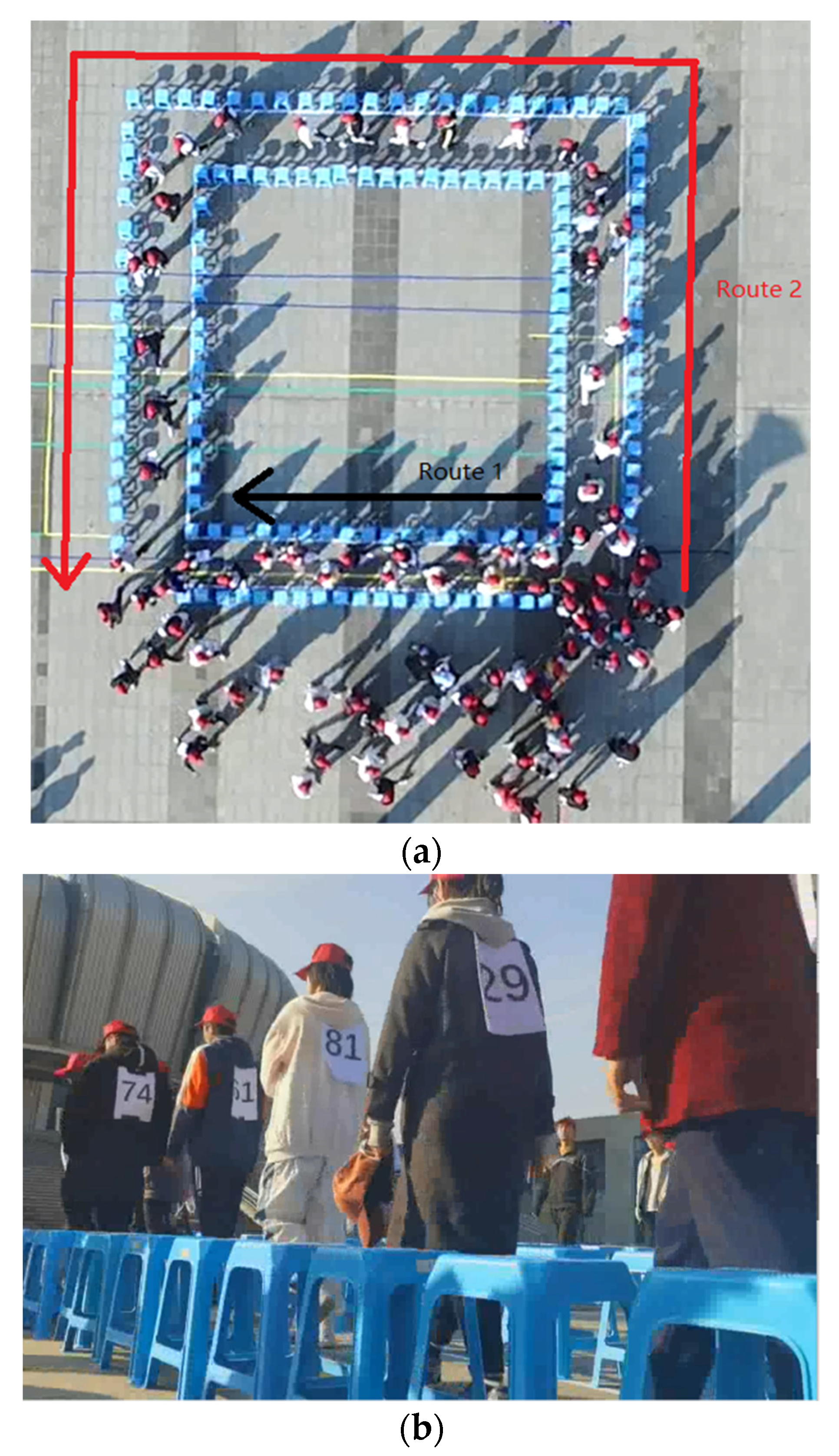 Exploring the Pedestrian Route Choice Behaviors by Machine