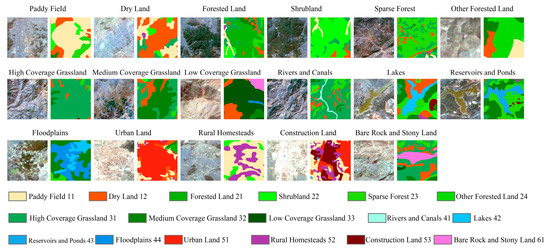 Spatial Patterns of Species Diversity of Amphibians in a