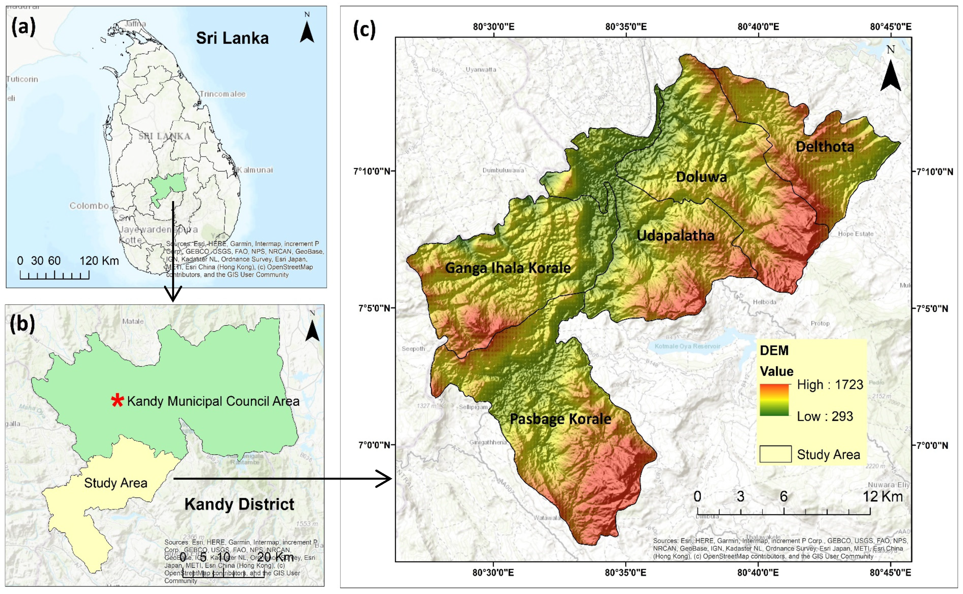 Ijgi 14 00312 g001 Ijgi 14 00312 g001