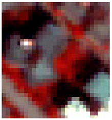 Ijgi 15 00174 i008