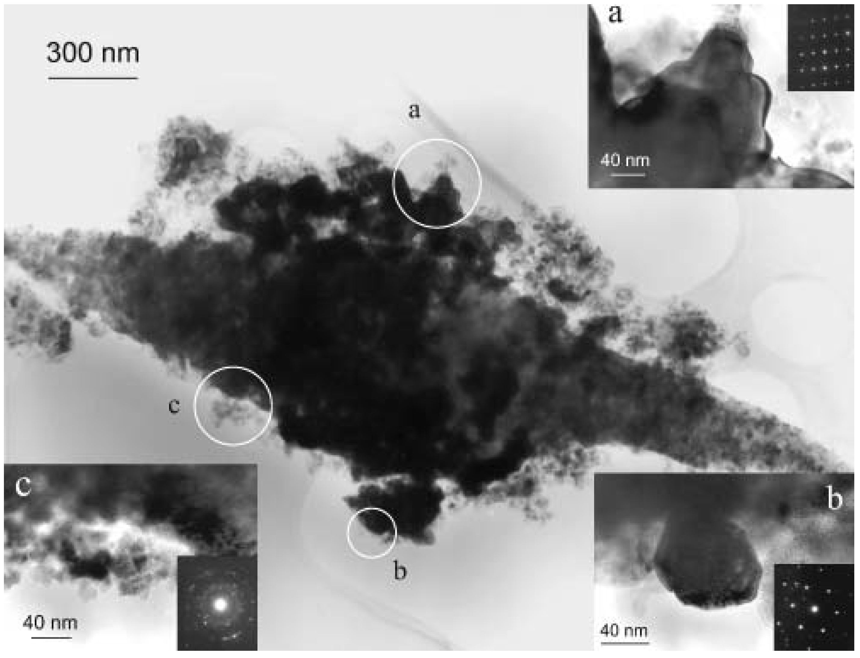 Ijms 02 00251 g002 1024