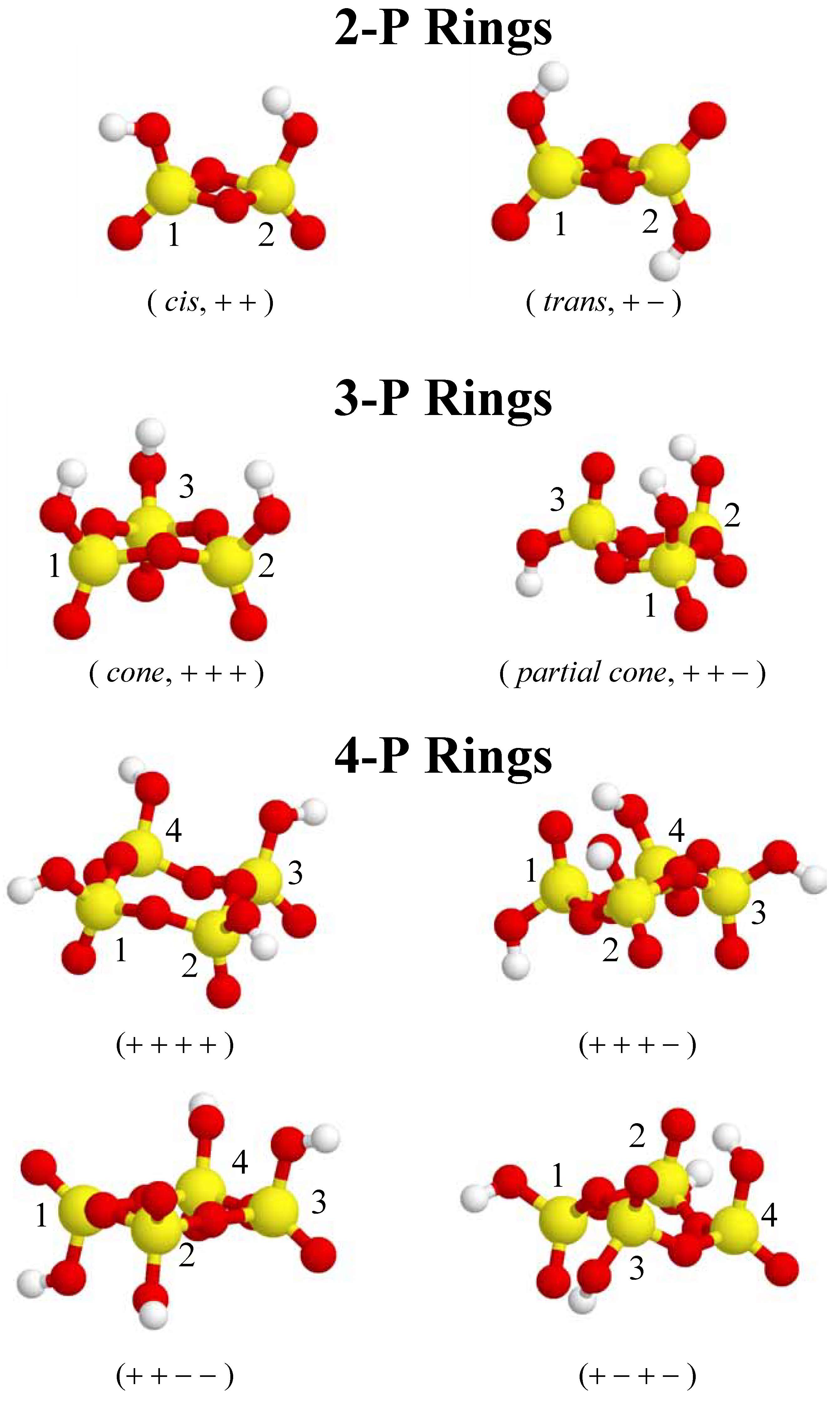 Ijms 03 00888 g002 1024