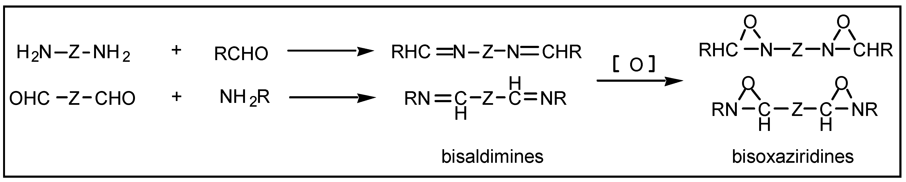 Ijms 03 01145 g008 1024