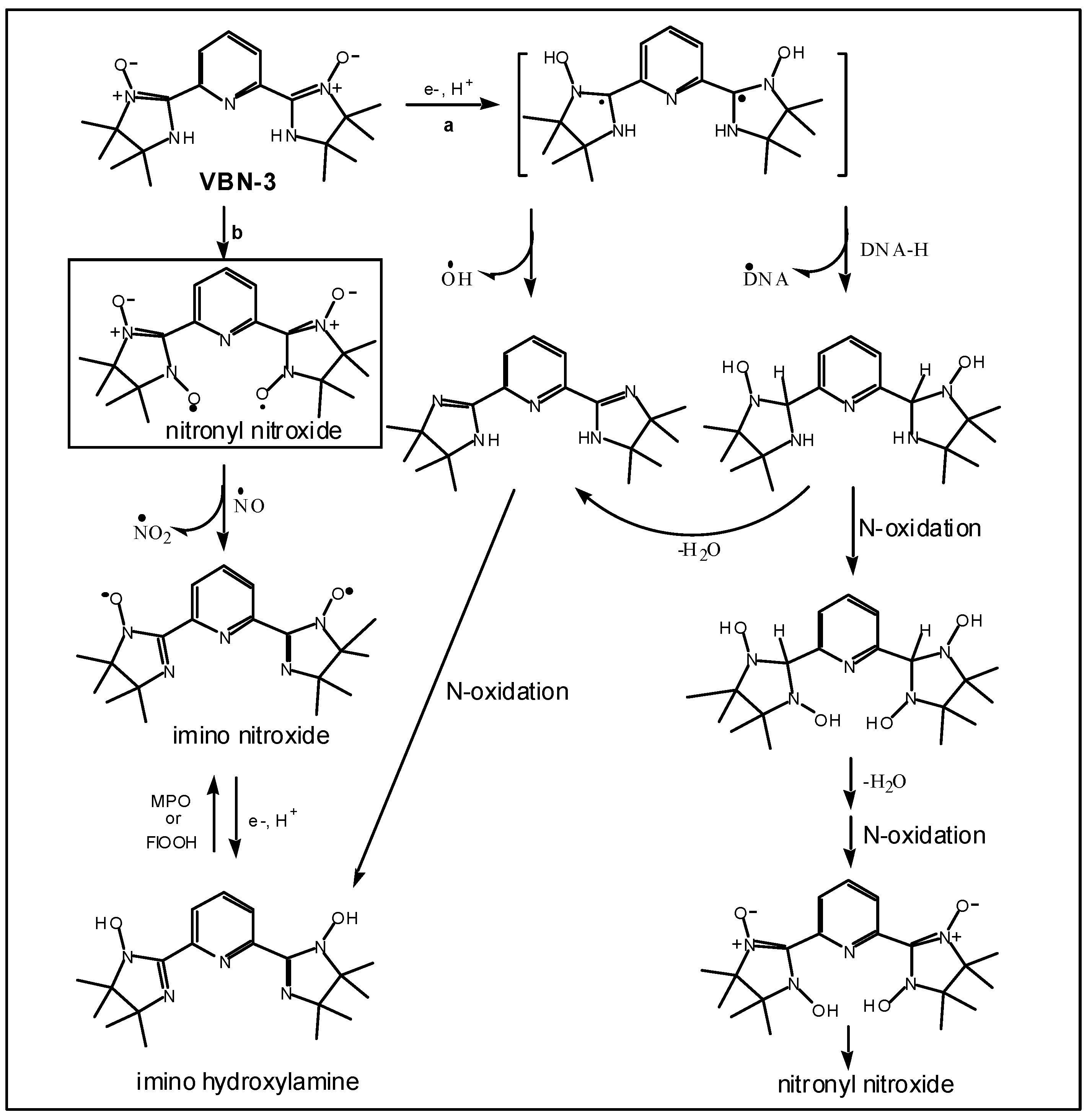 Ijms 03 01145 g012 1024