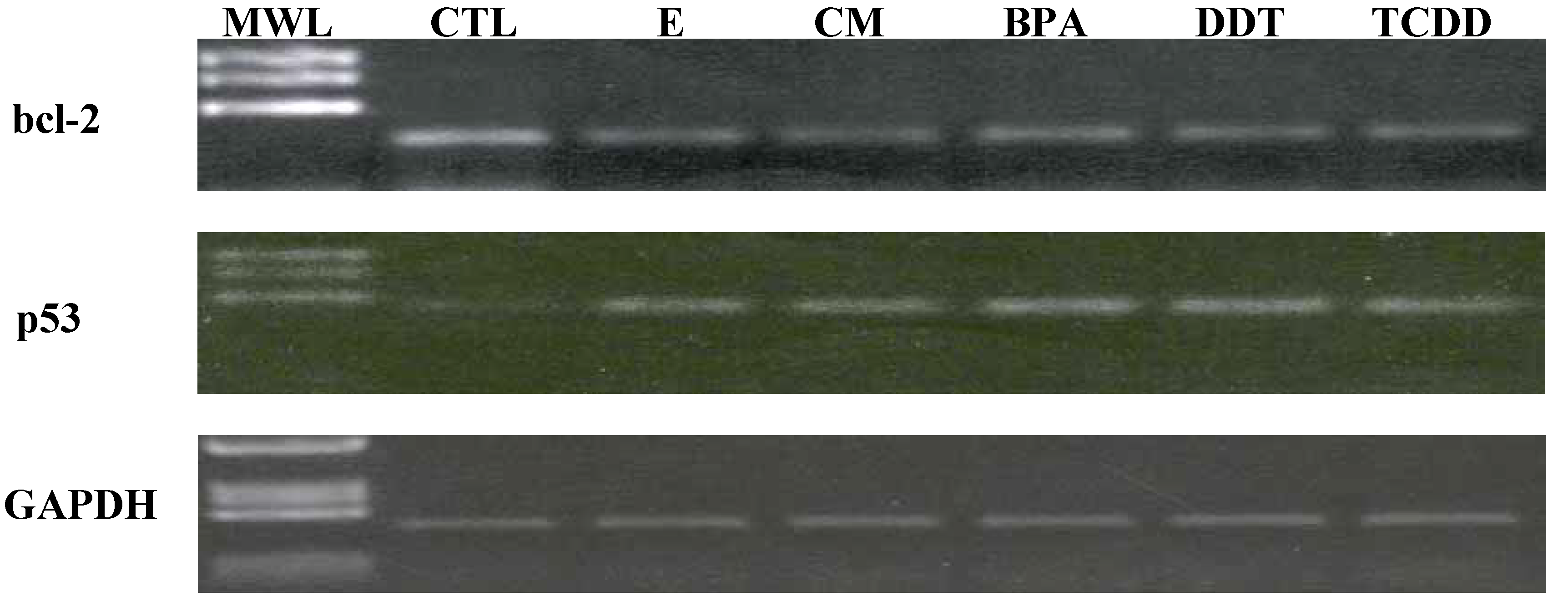 Ijms 04 00045 g006