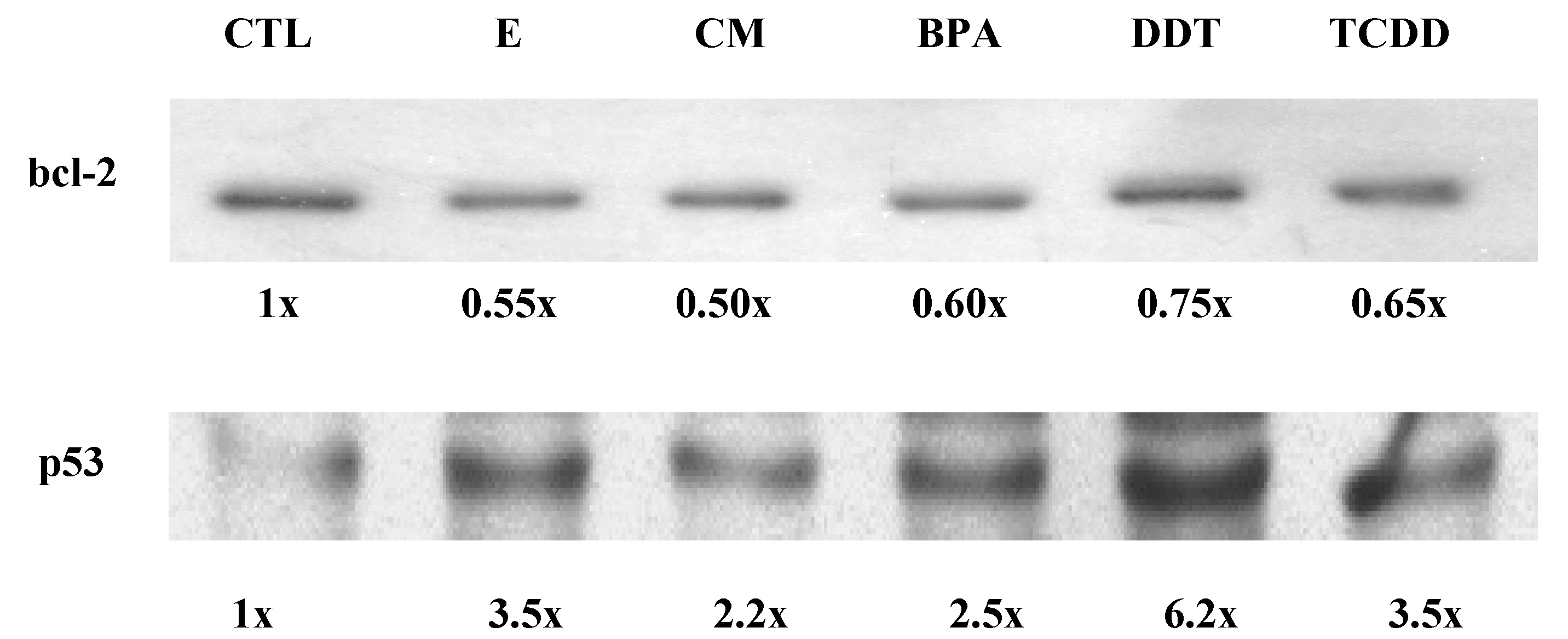 Ijms 04 00045 g007