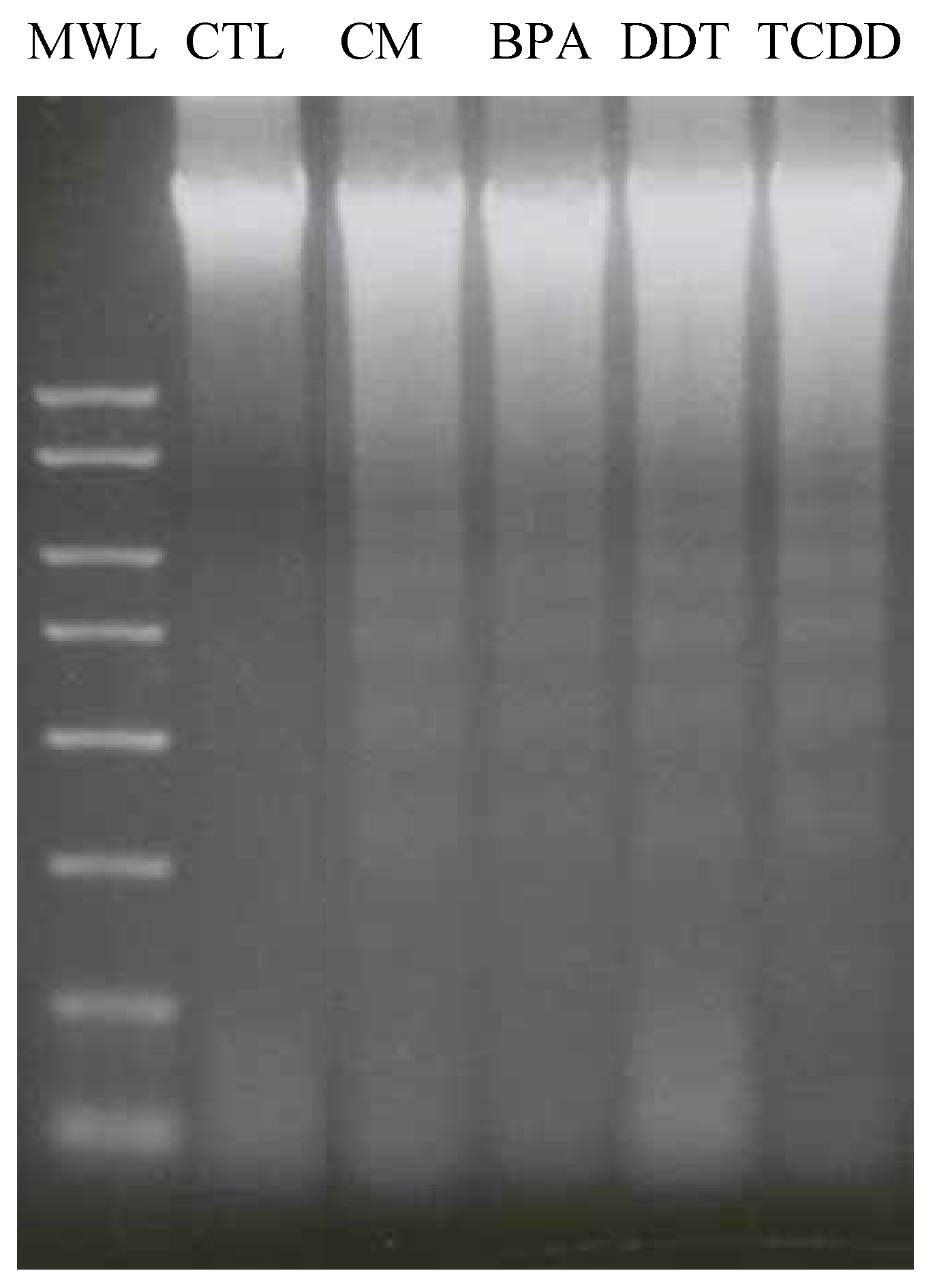Ijms 04 00045 g008