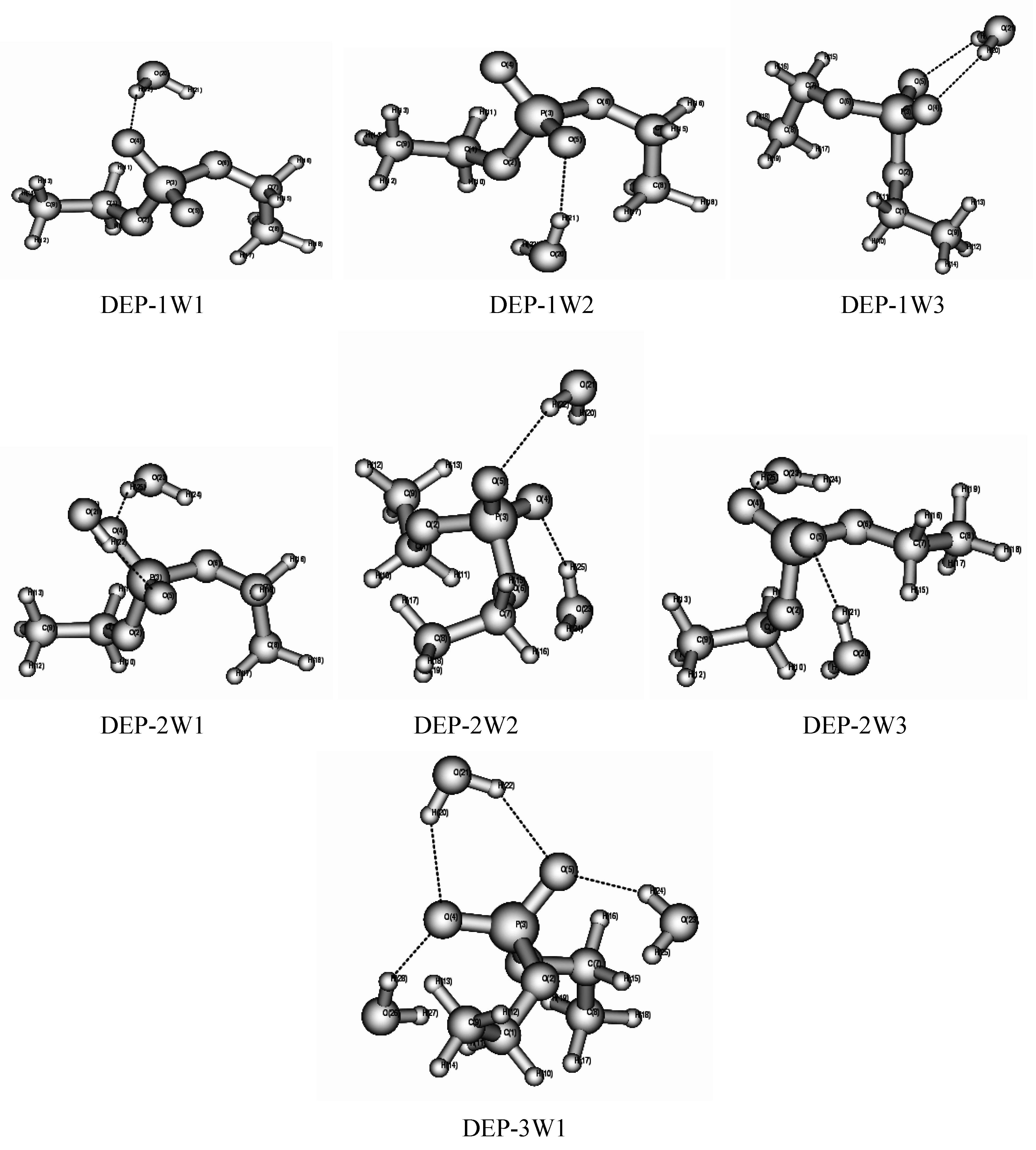 Ijms 04 00486 g003 1024