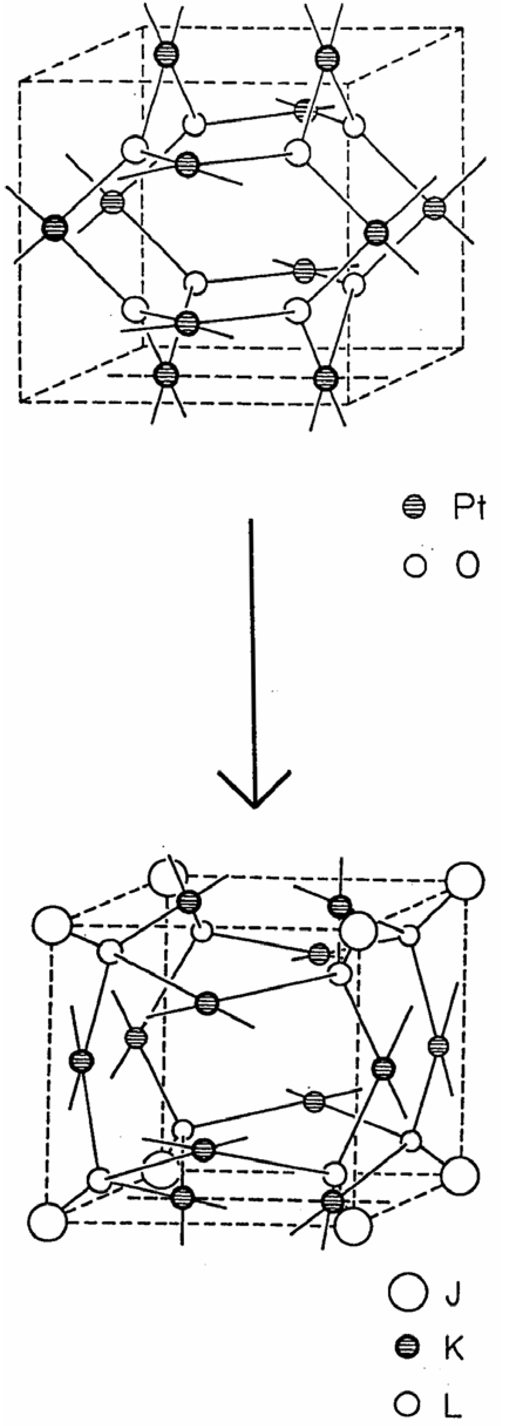 Ijms 06 00177 g004 1024