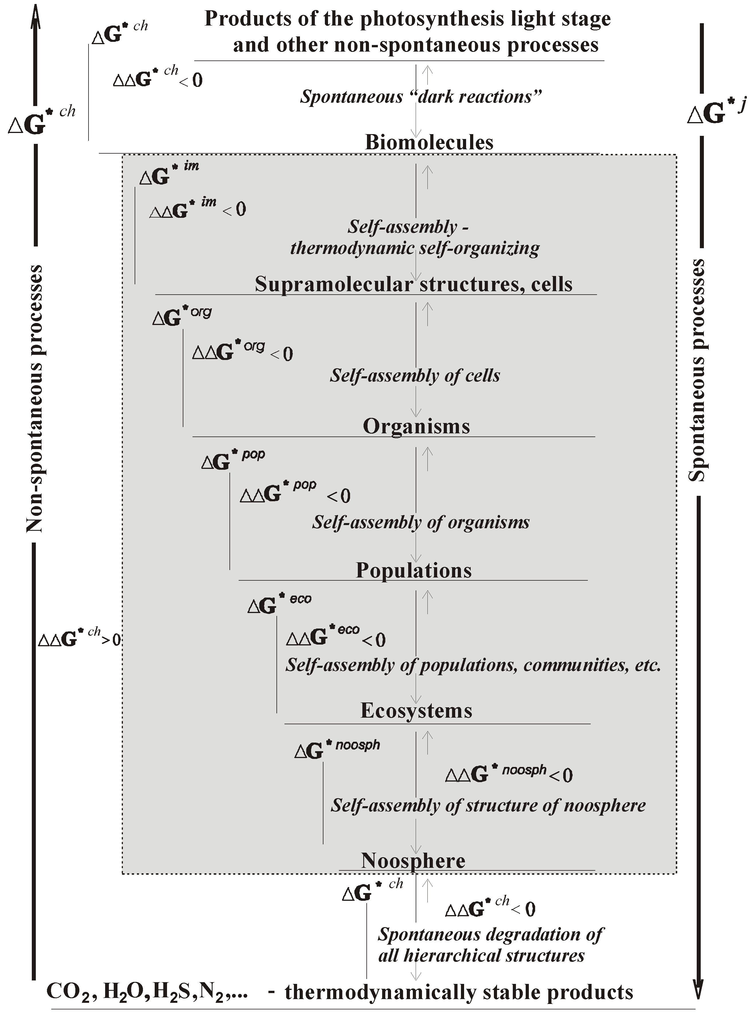 Ijms 07 00098 g002 1024