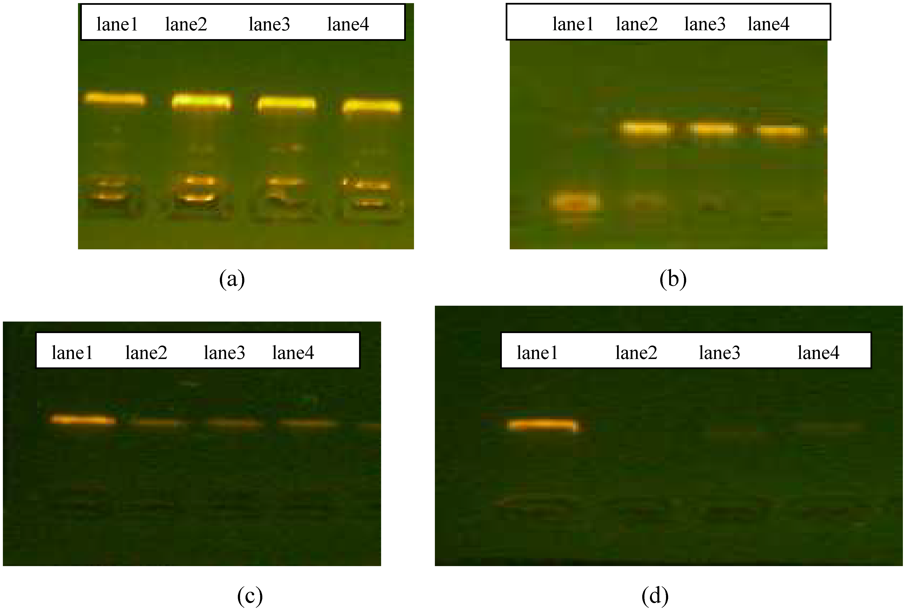 Ijms 07 00111 g001 1024