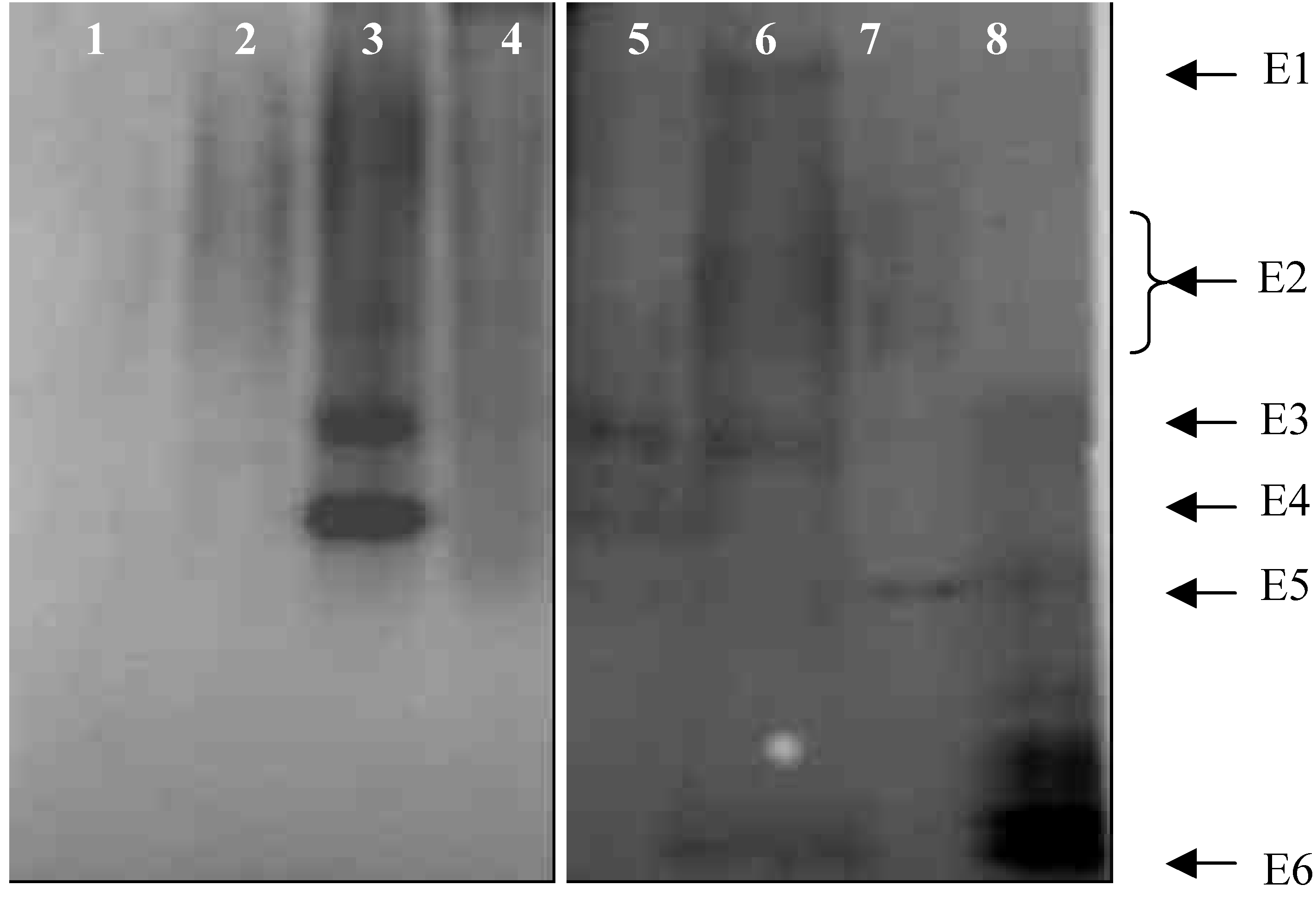 Ijms 07 00346 g002 1024