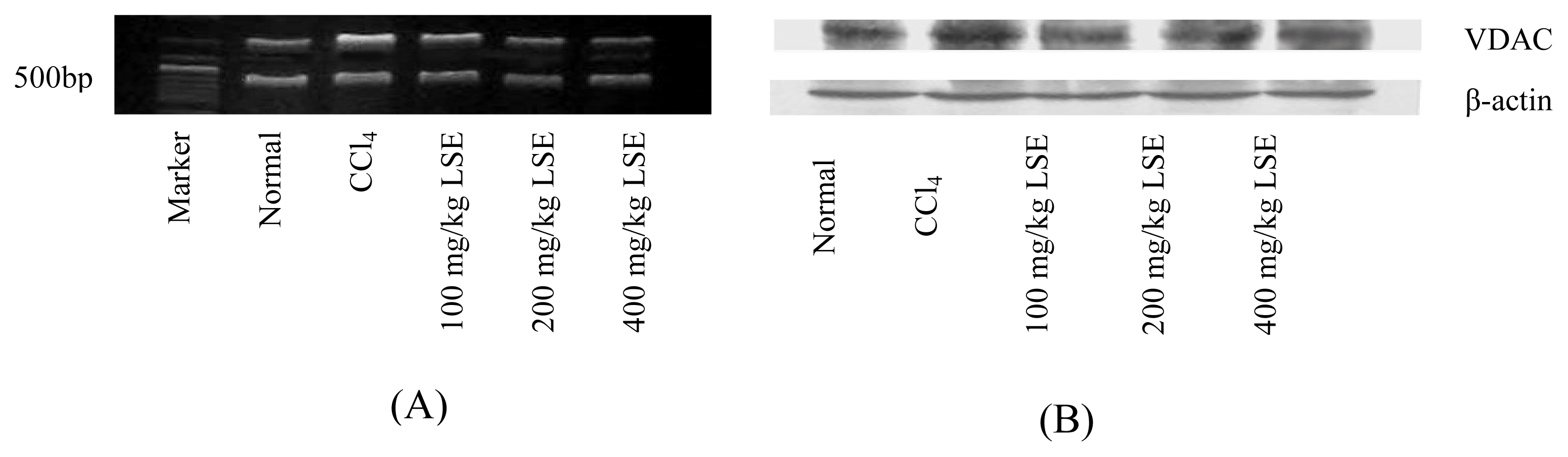 Ijms 08 00204f4 1024