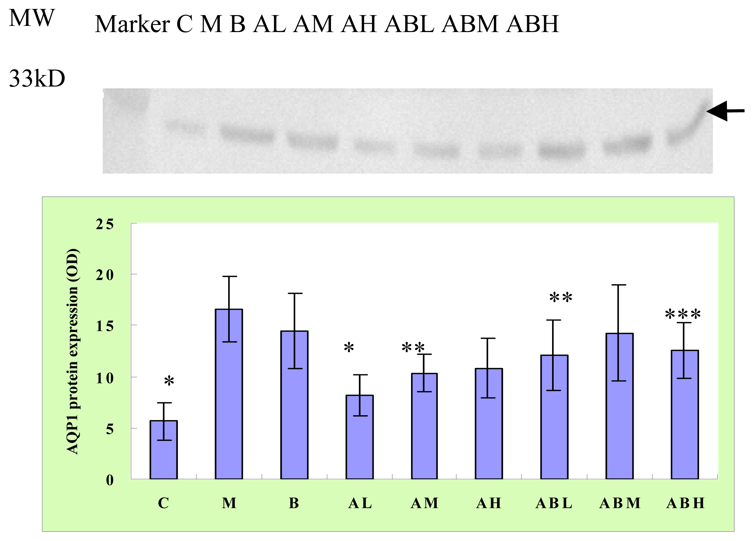 Ijms 08 00229f1 1024