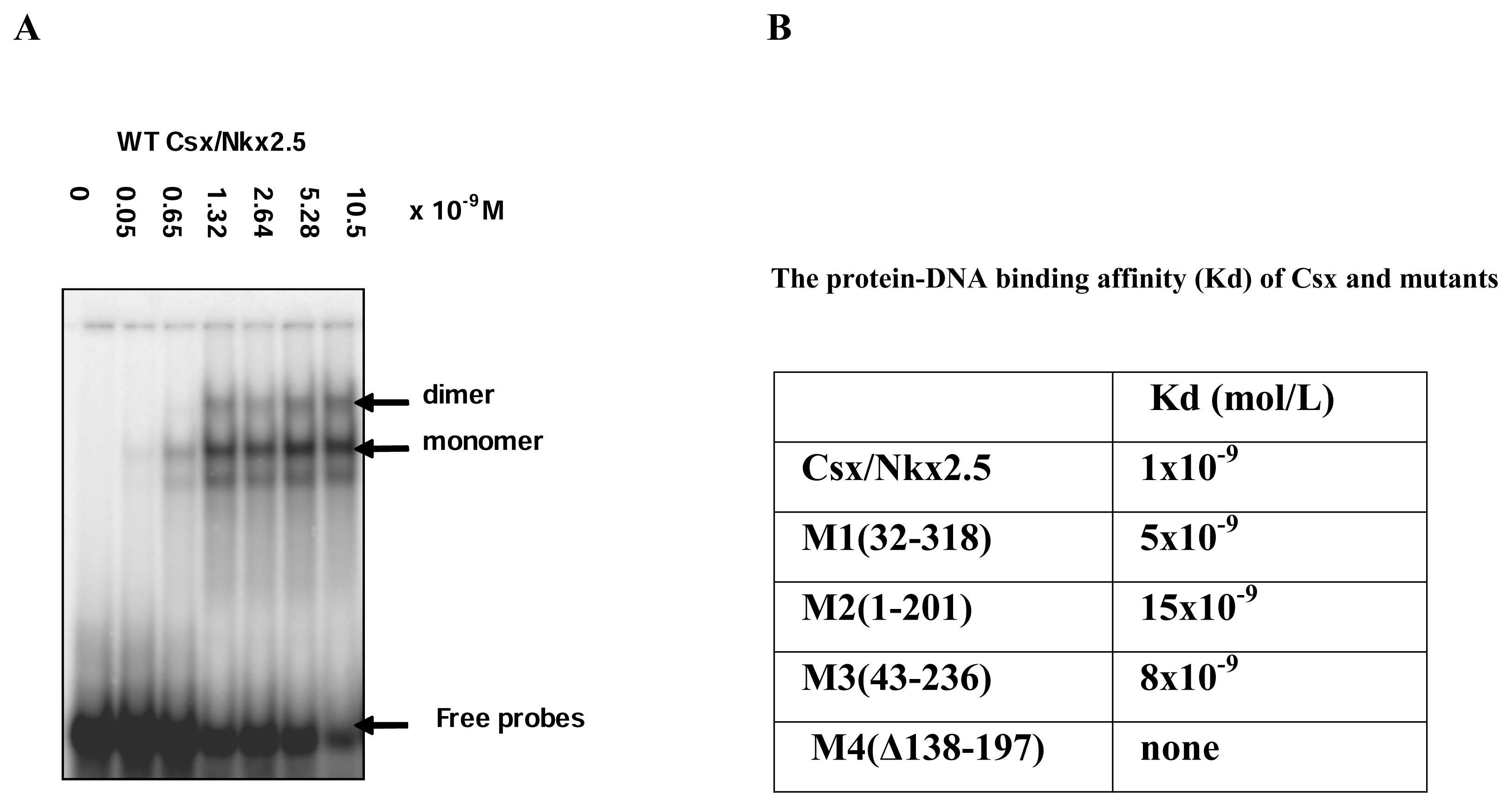Ijms 08 00284f3 1024