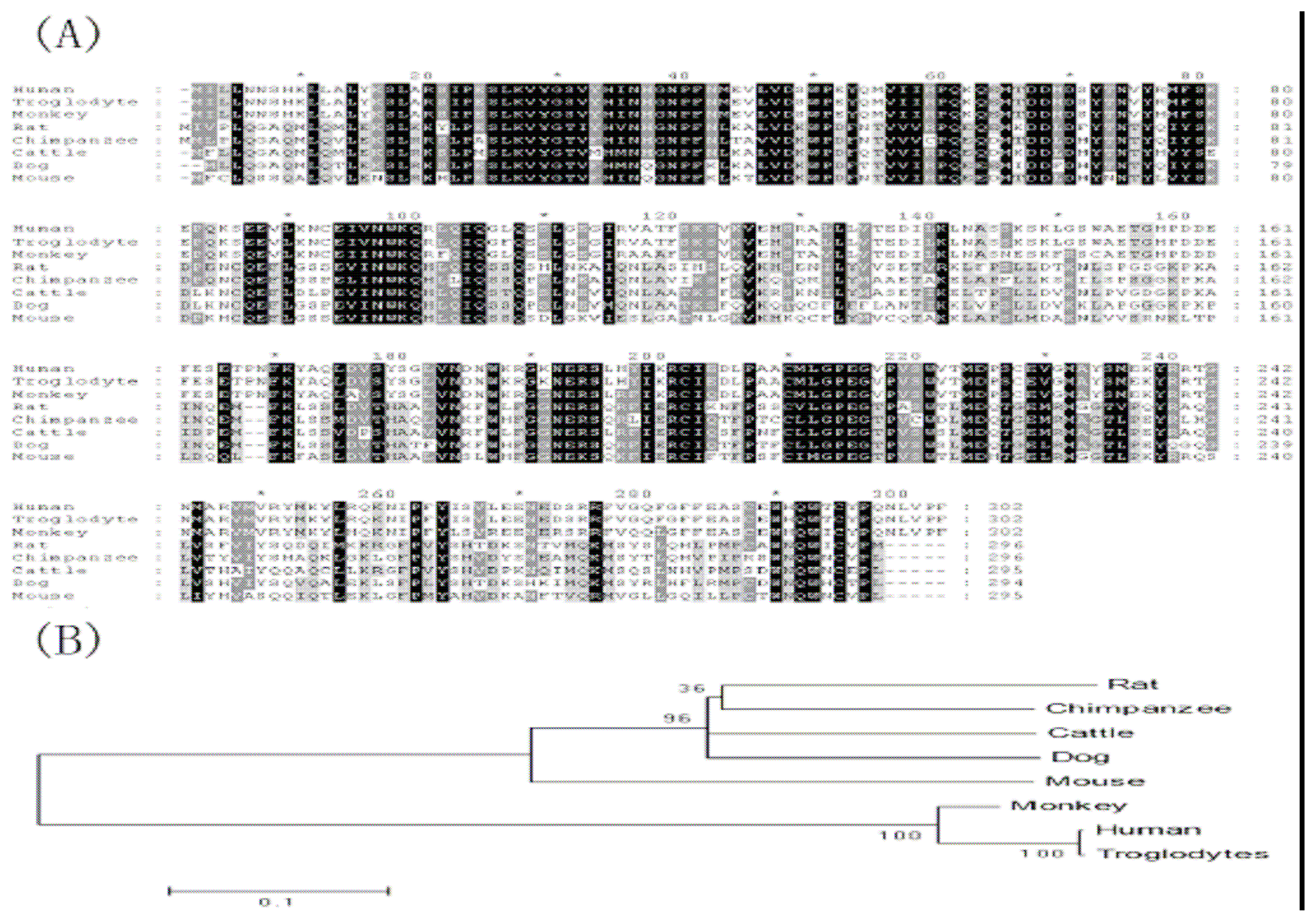 Ijms 08 00433f2 1024