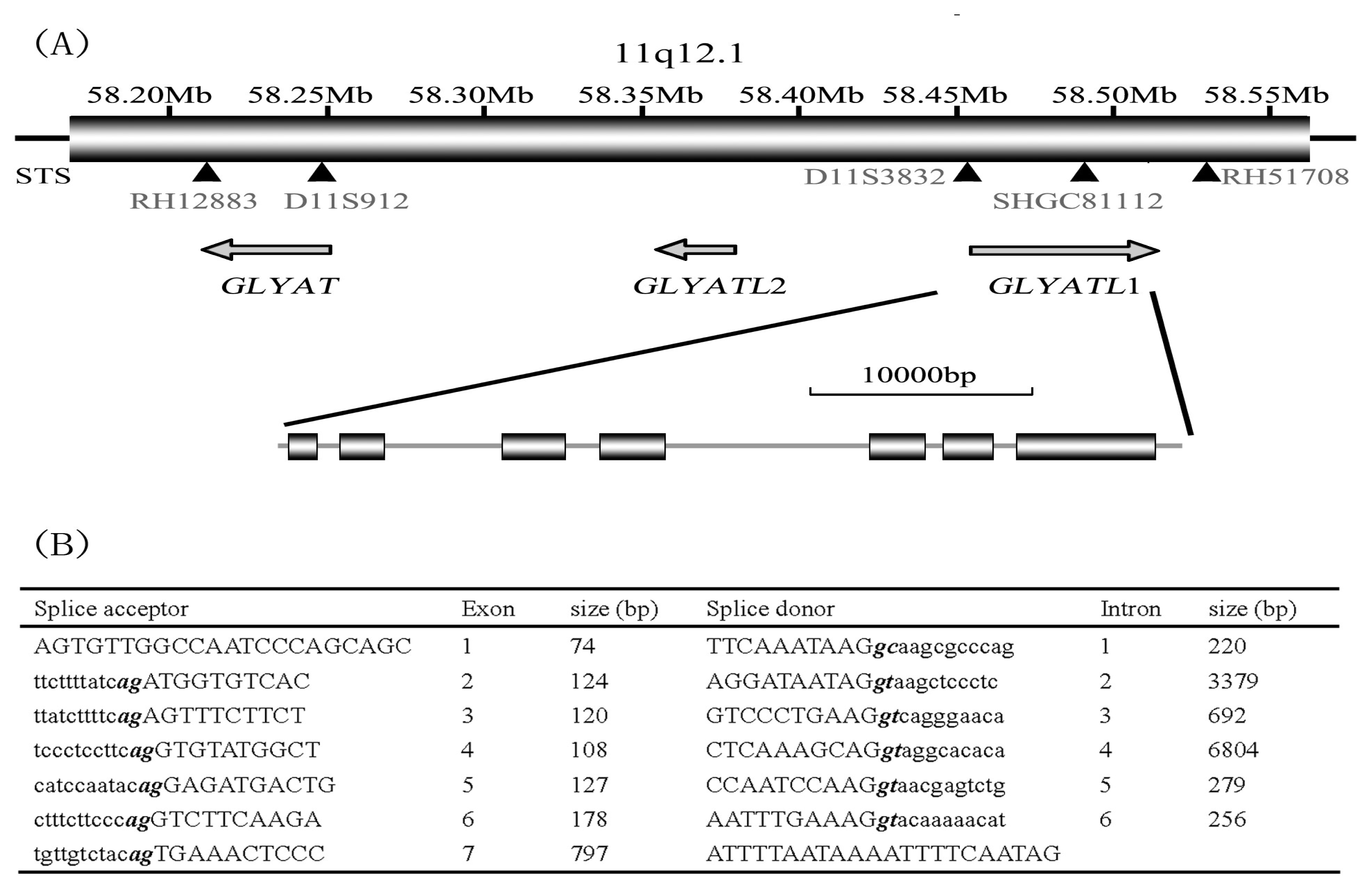 Ijms 08 00433f3 1024
