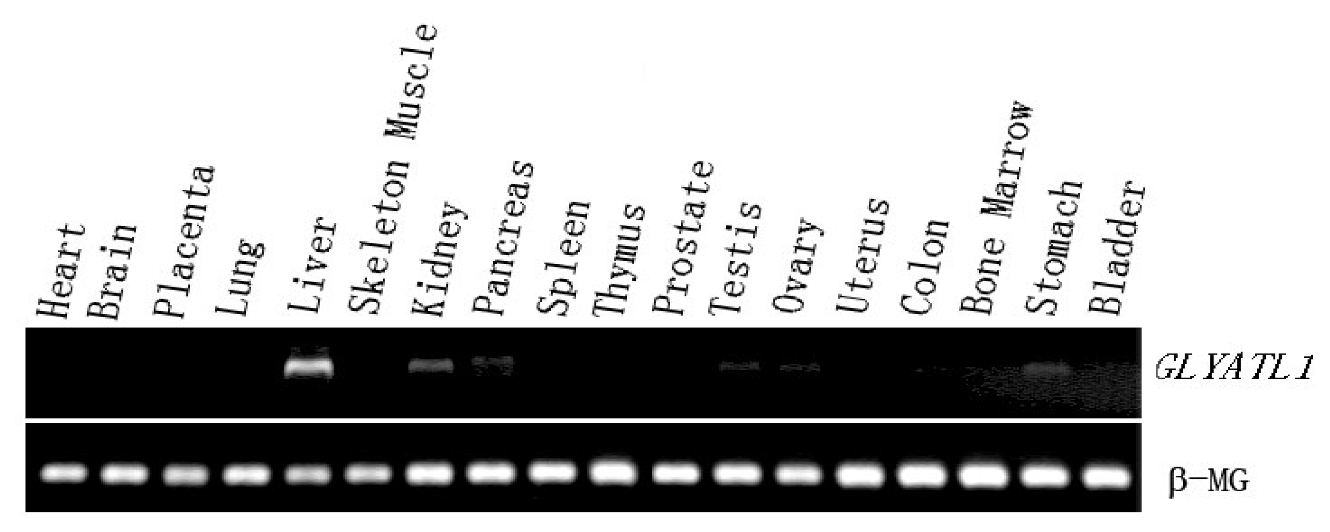 Ijms 08 00433f4 1024