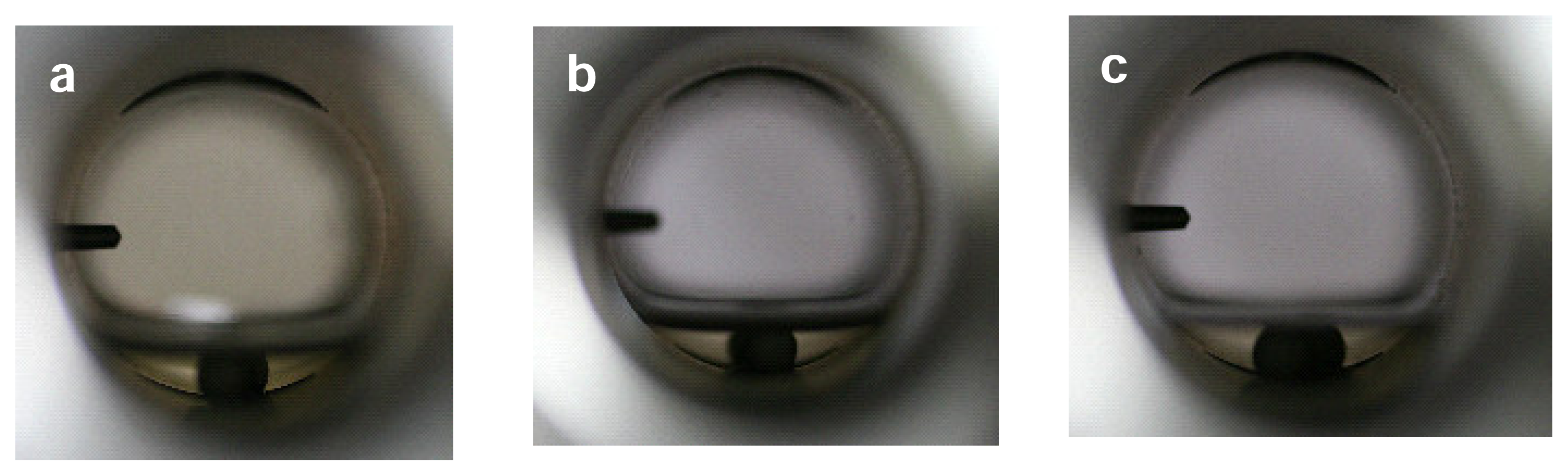 Ijms 08 00749f4 1024