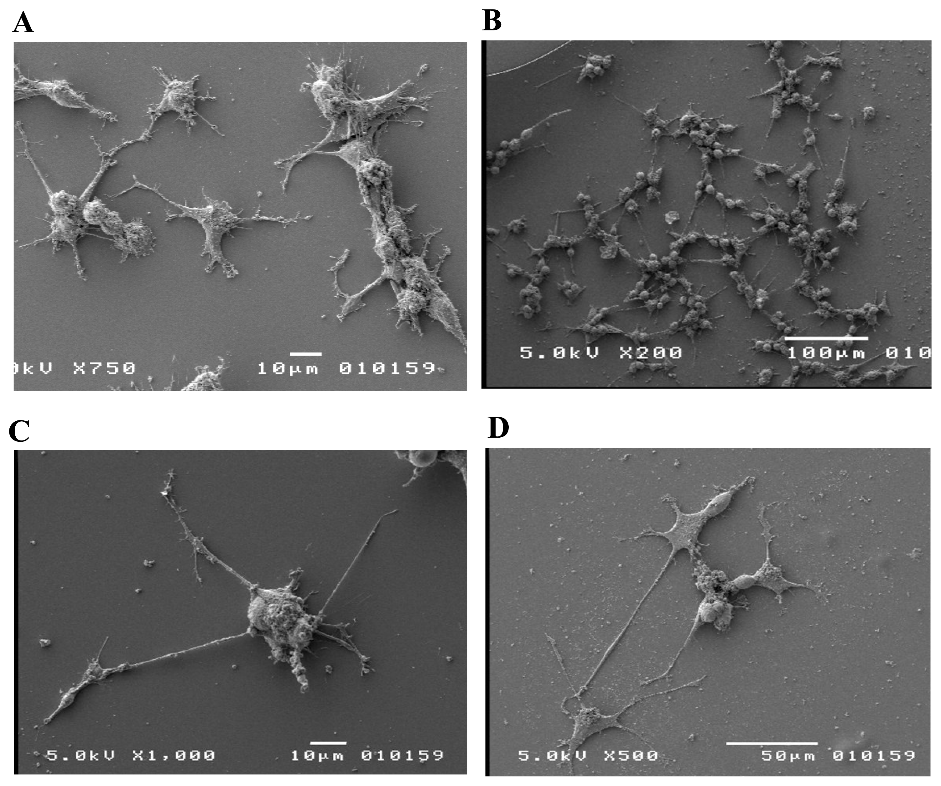 Ijms 08 00884f5 1024