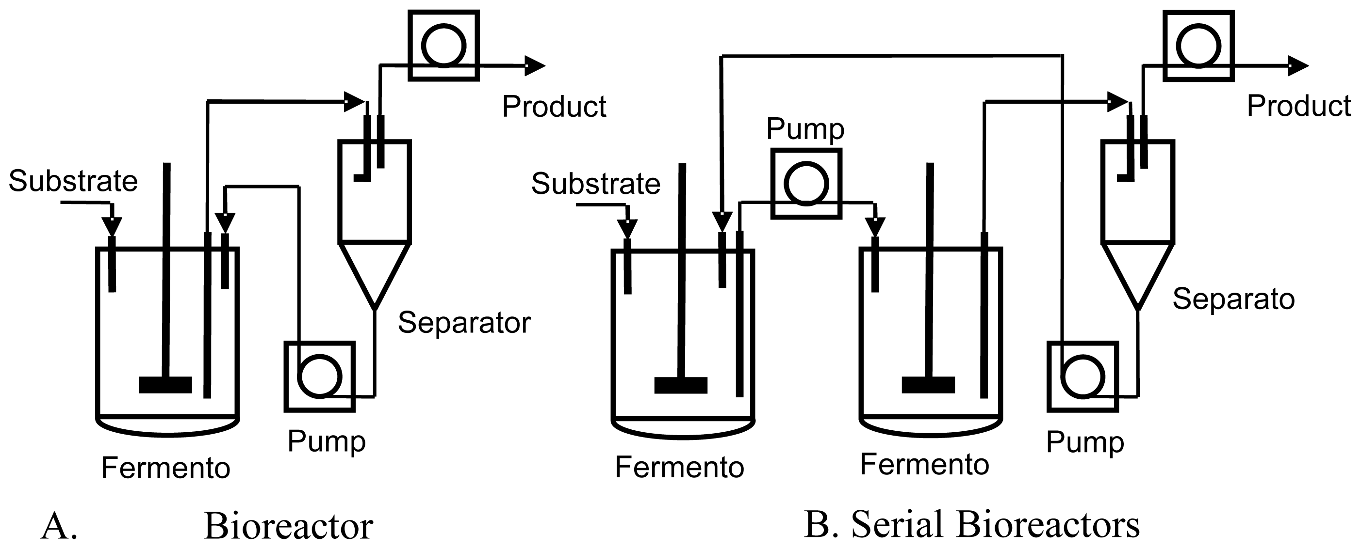 Ijms 08 00920f1 1024
