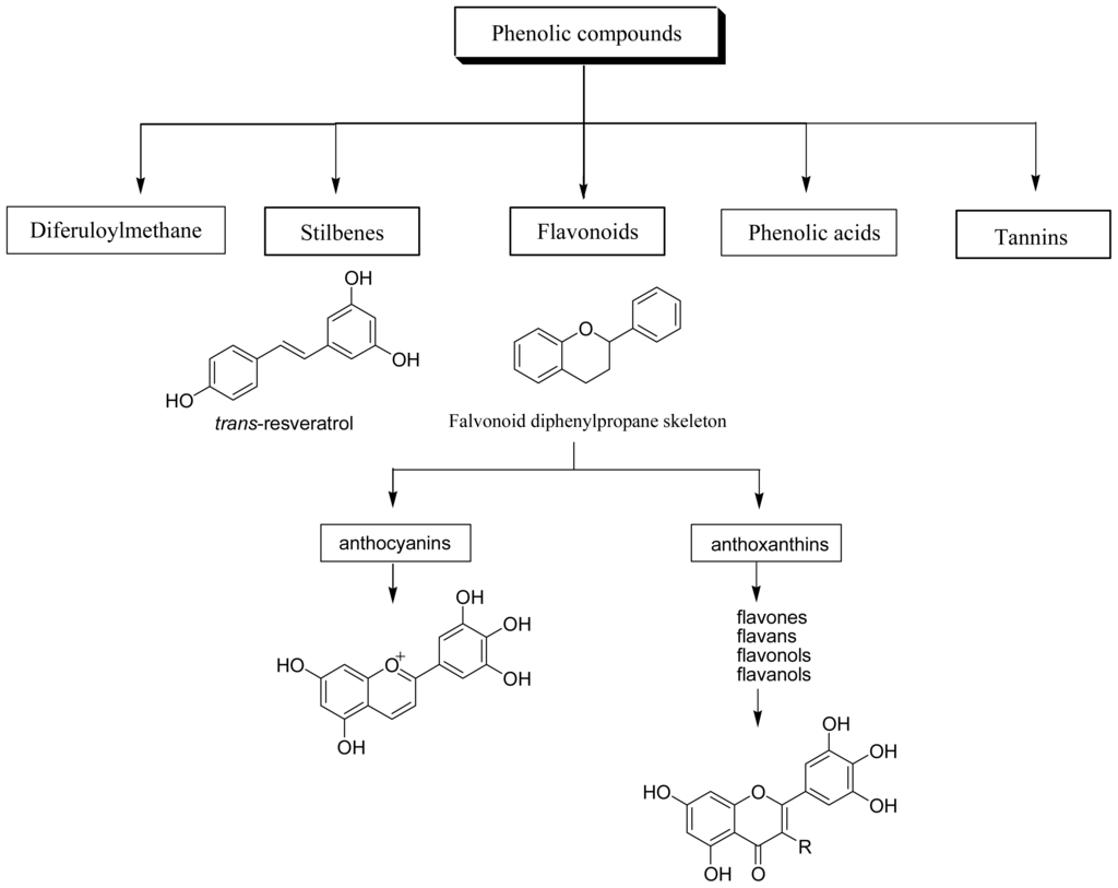 Thesis on polyphenols picture