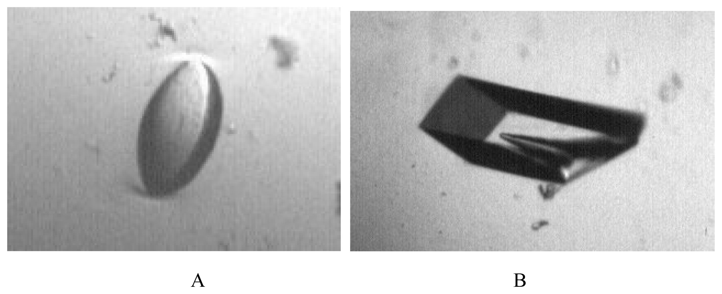 Ijms 08 01039f1 1024