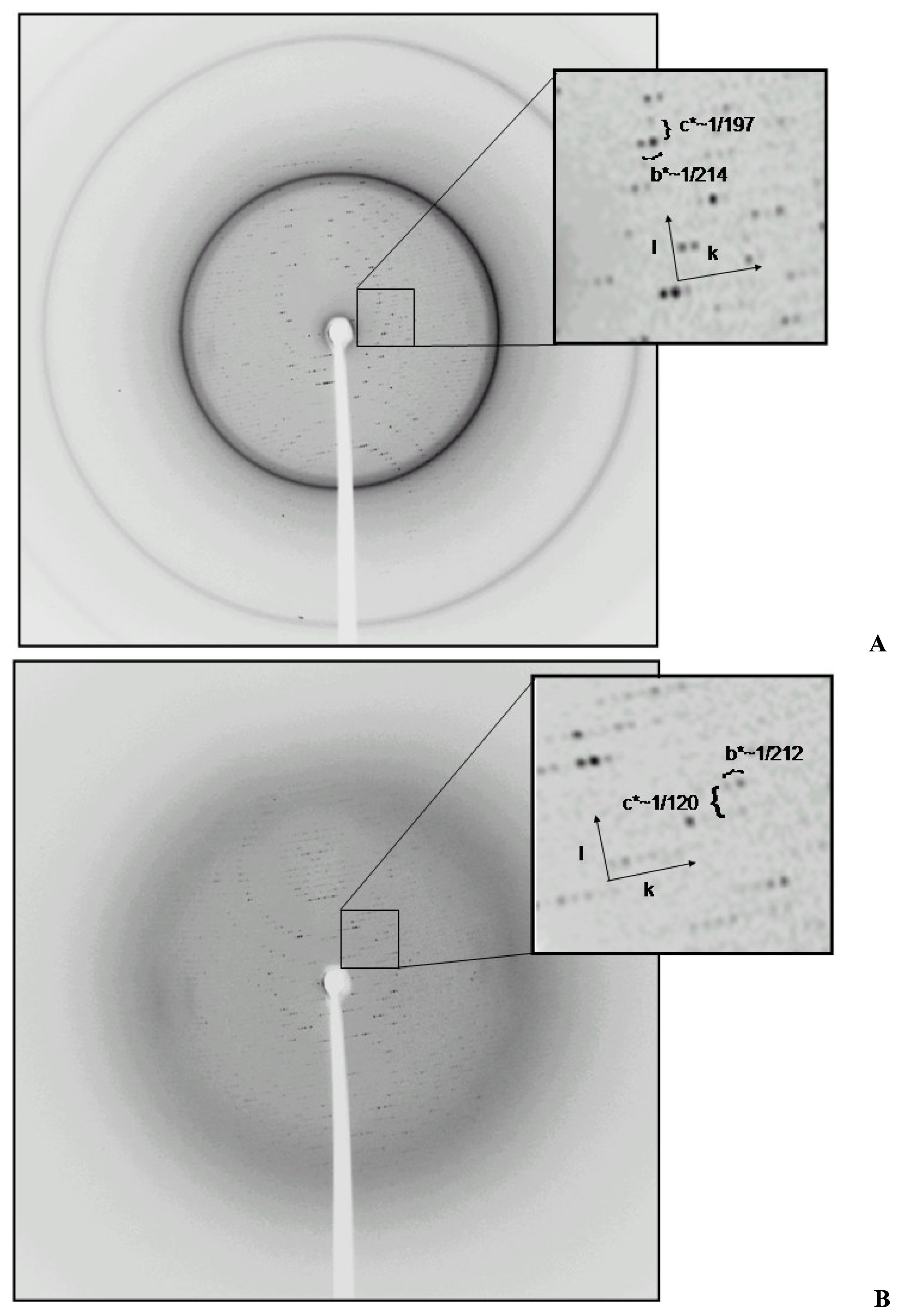 Ijms 08 01039f2 1024