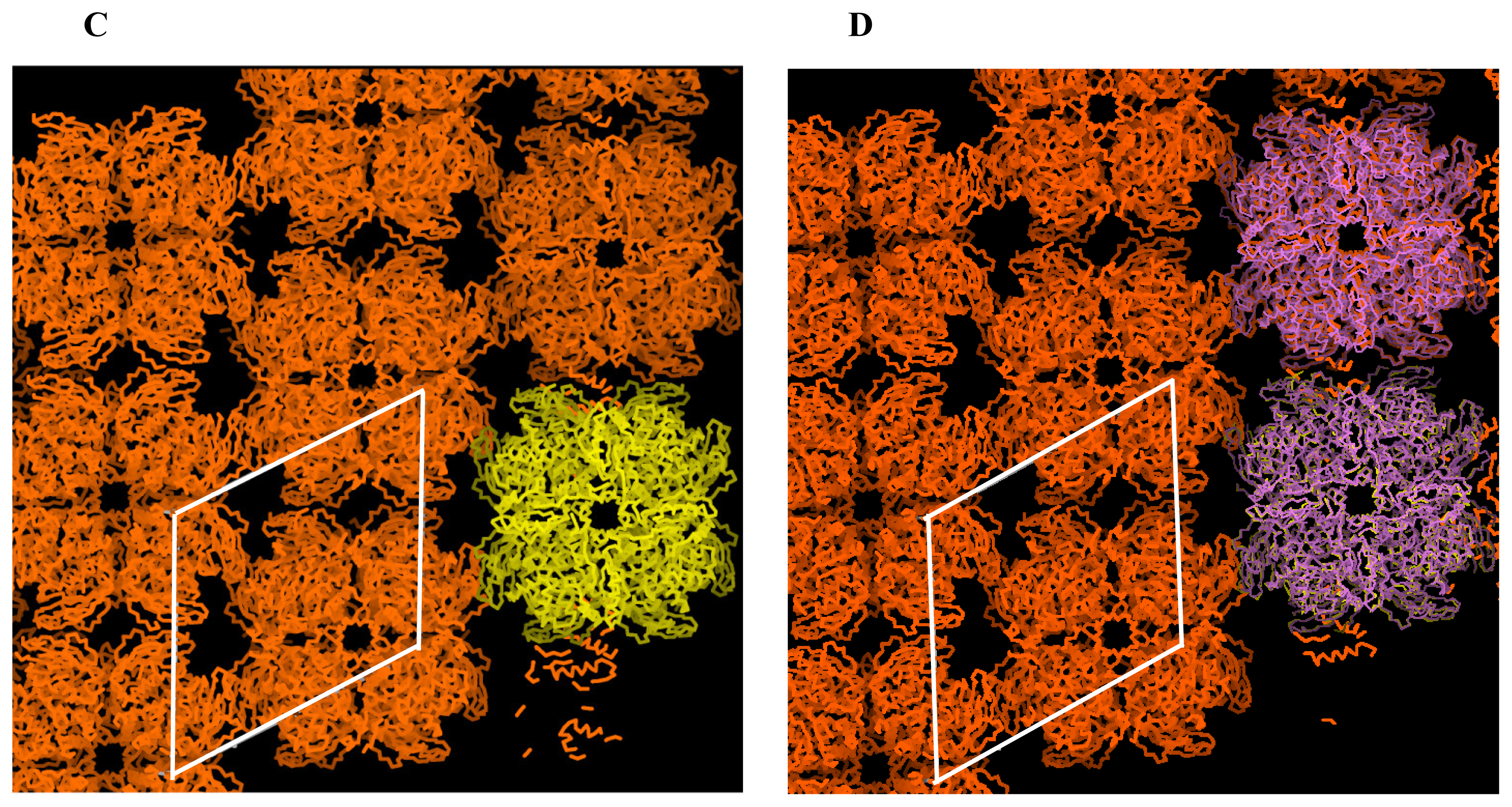 Ijms 08 01039f4b 1024